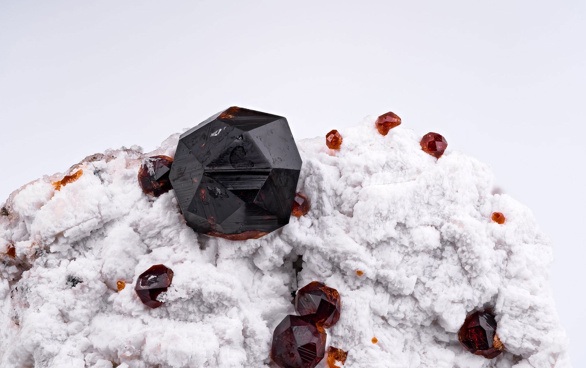 Polished Garnet gemstone showcasing its deep red color and smooth