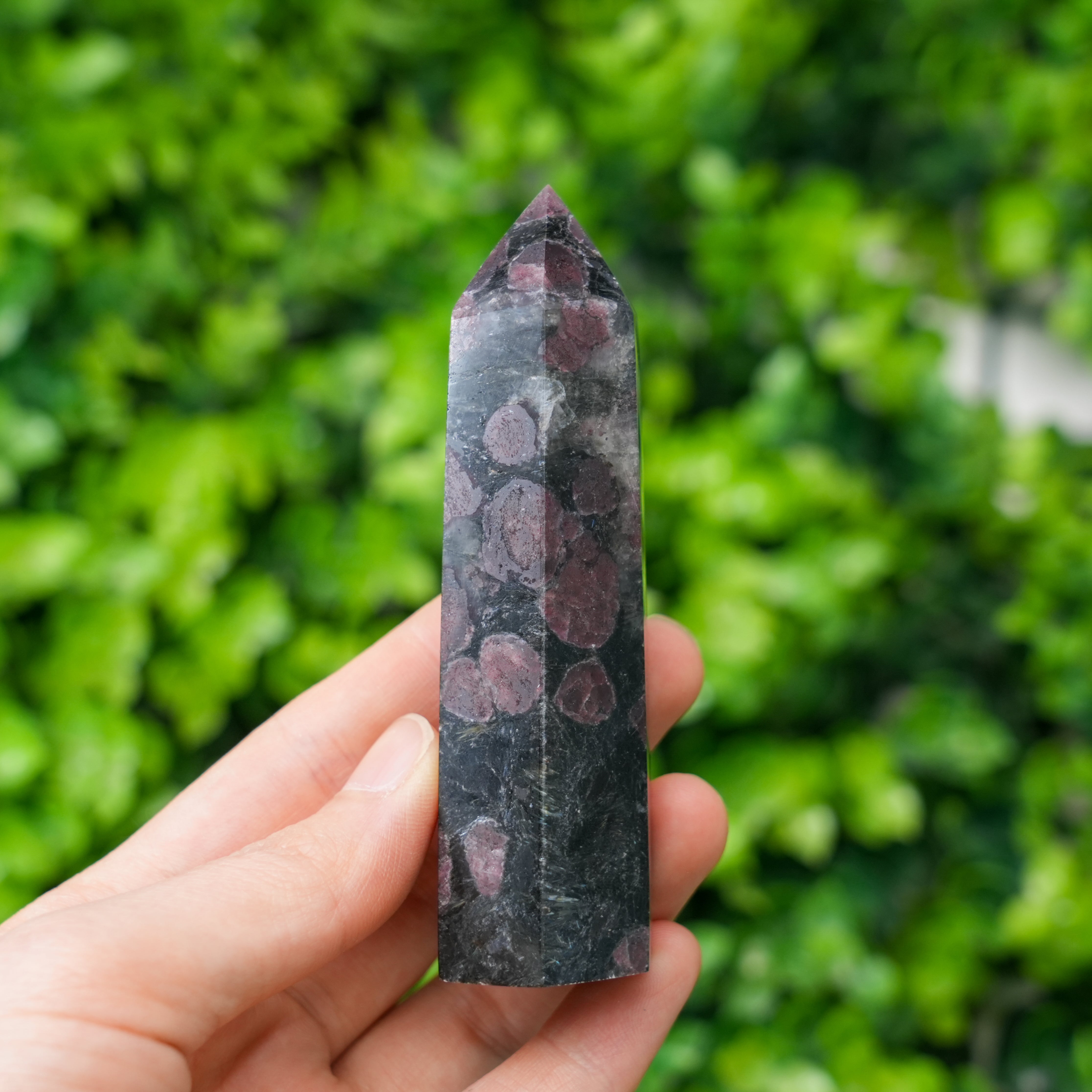 Astrophyllite Garnet Crystal Point Rare Radiating Mineral Tower for Transformation & Inner Fire