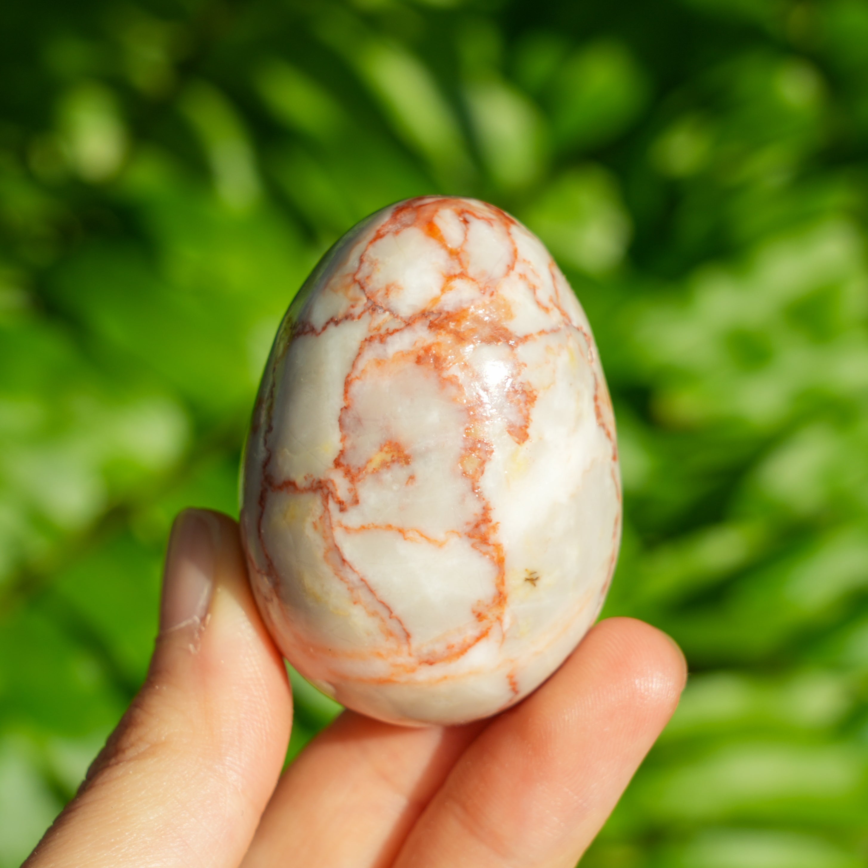 Red Net Stone Egg