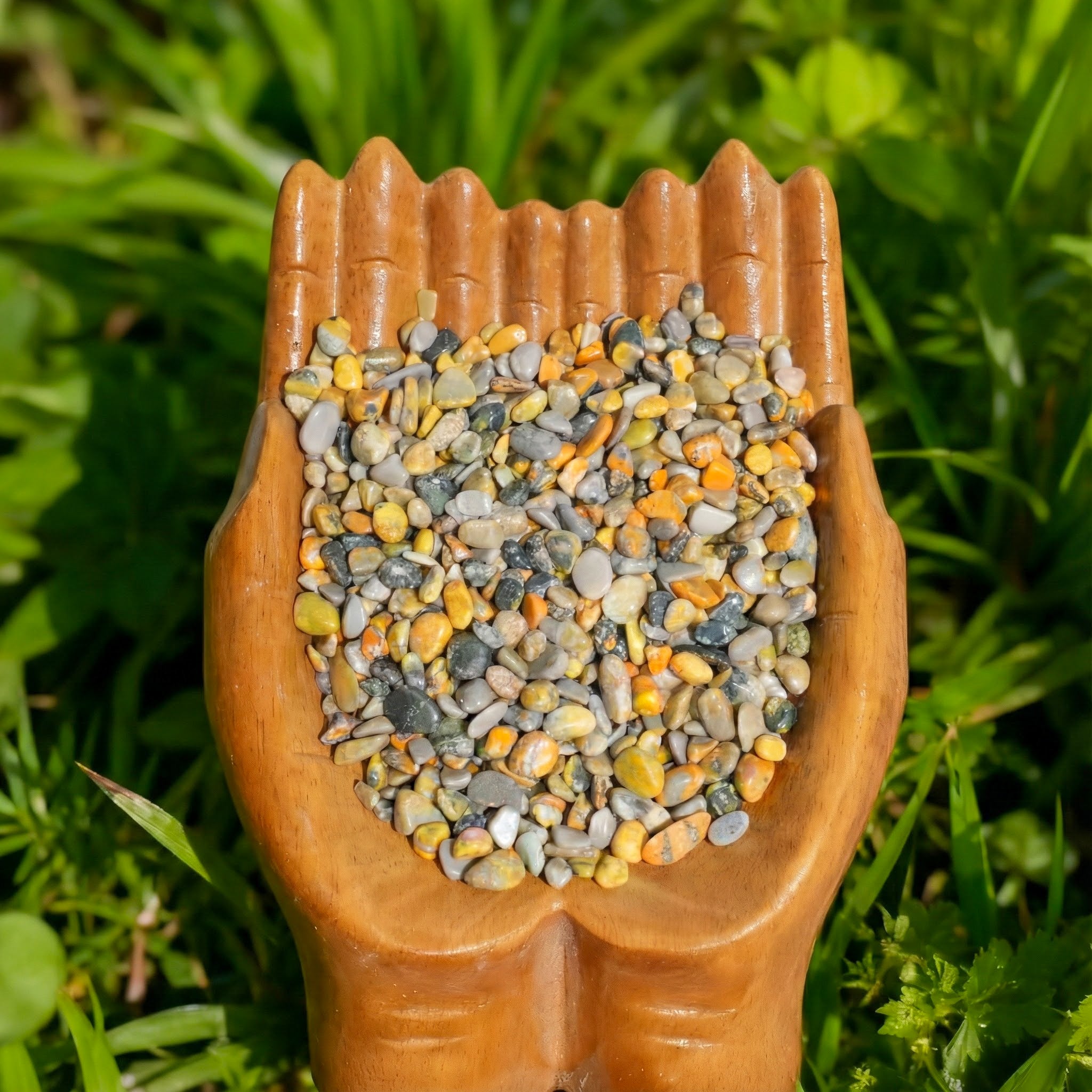 Blumblebee Jasper Chips