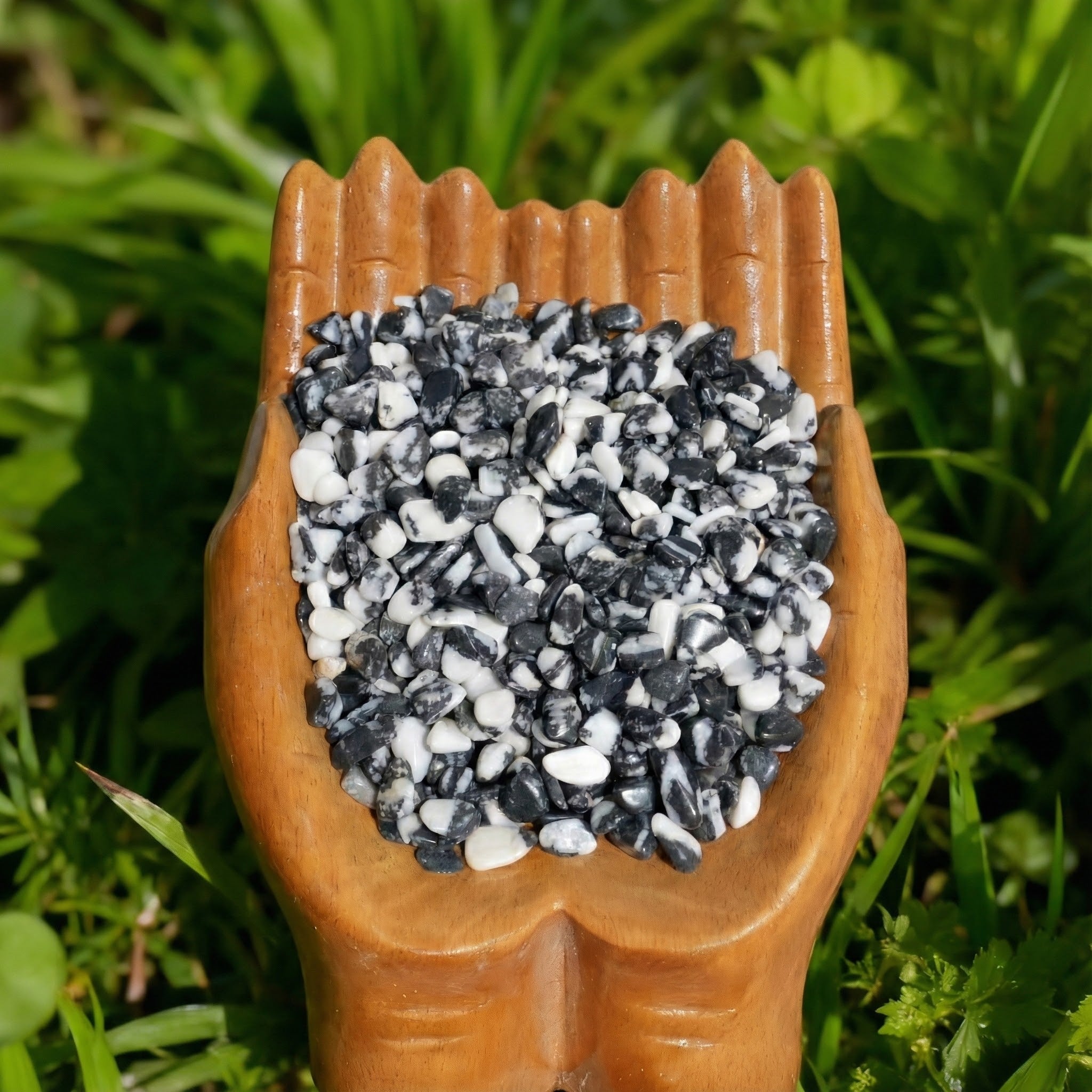 Black And White Zebra Jasper Chips