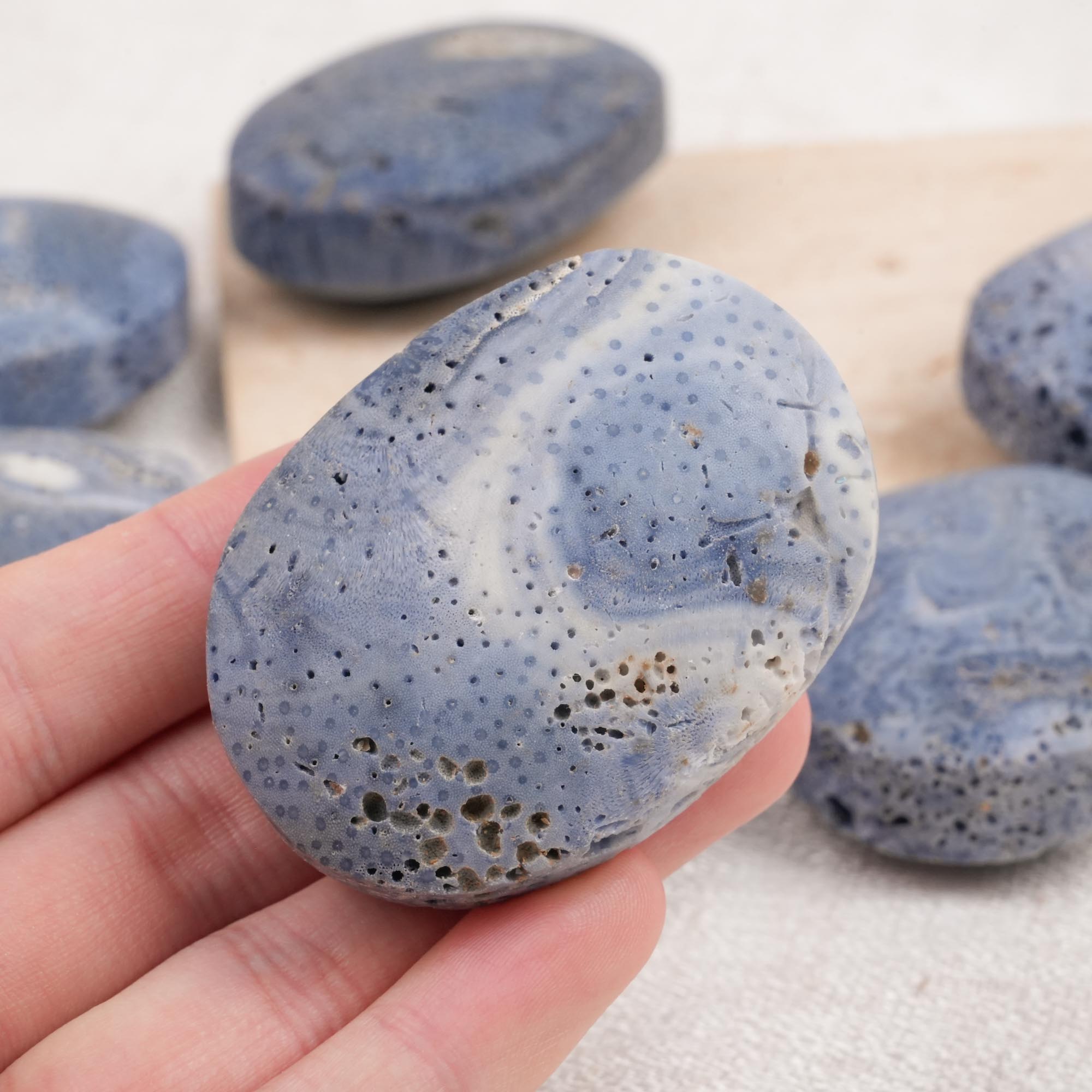 Blue Coral Jade Palm Stone