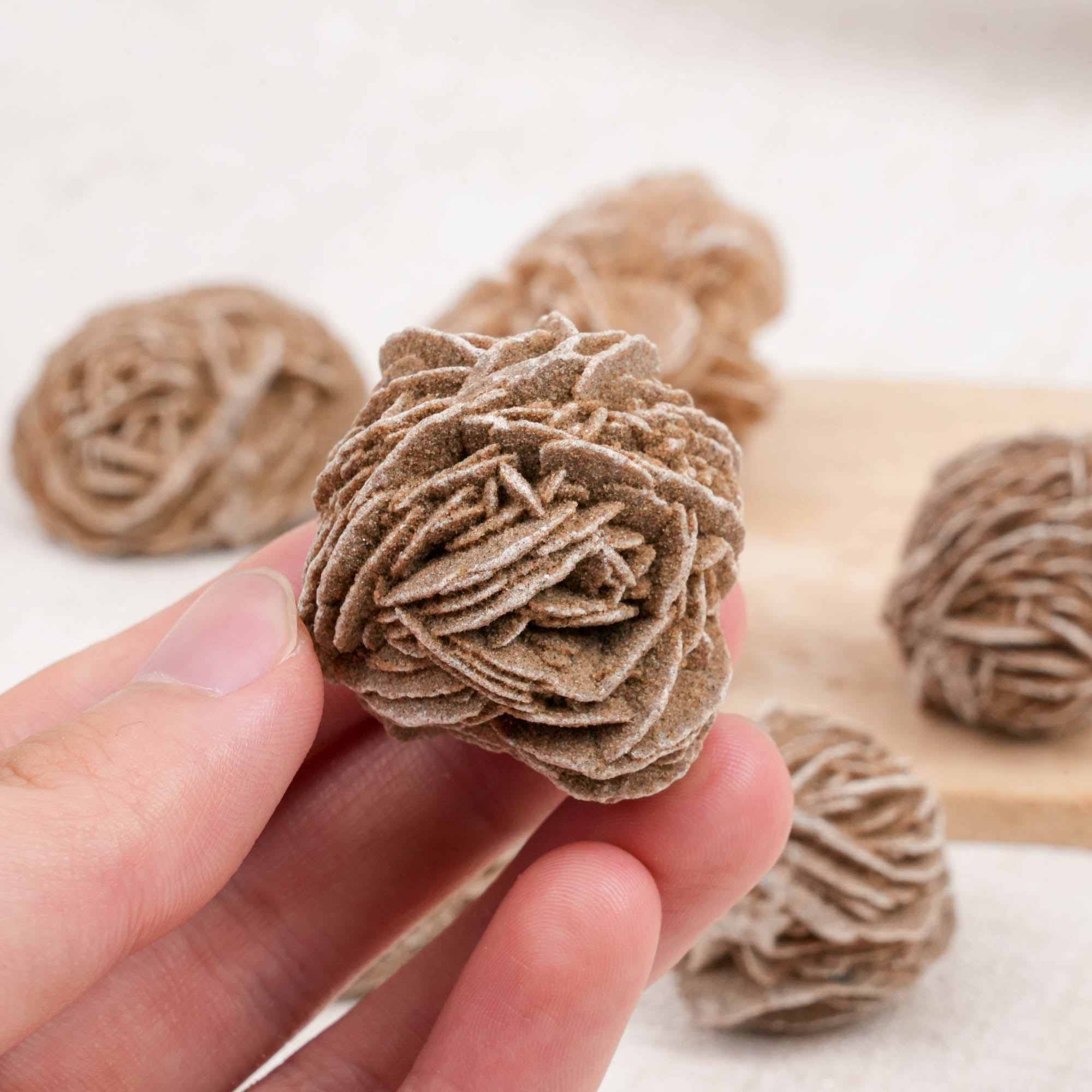 Desert Rose