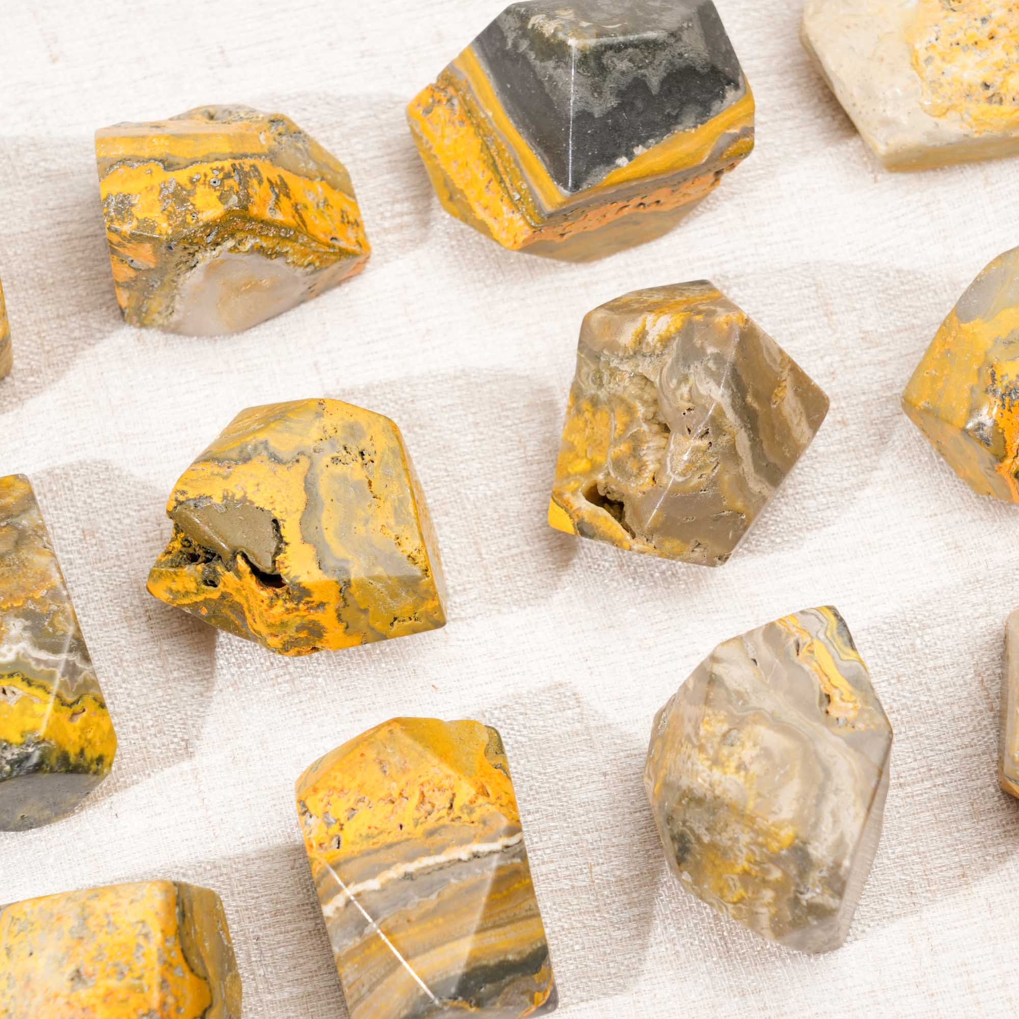 Bumblebee Jasper Freeform