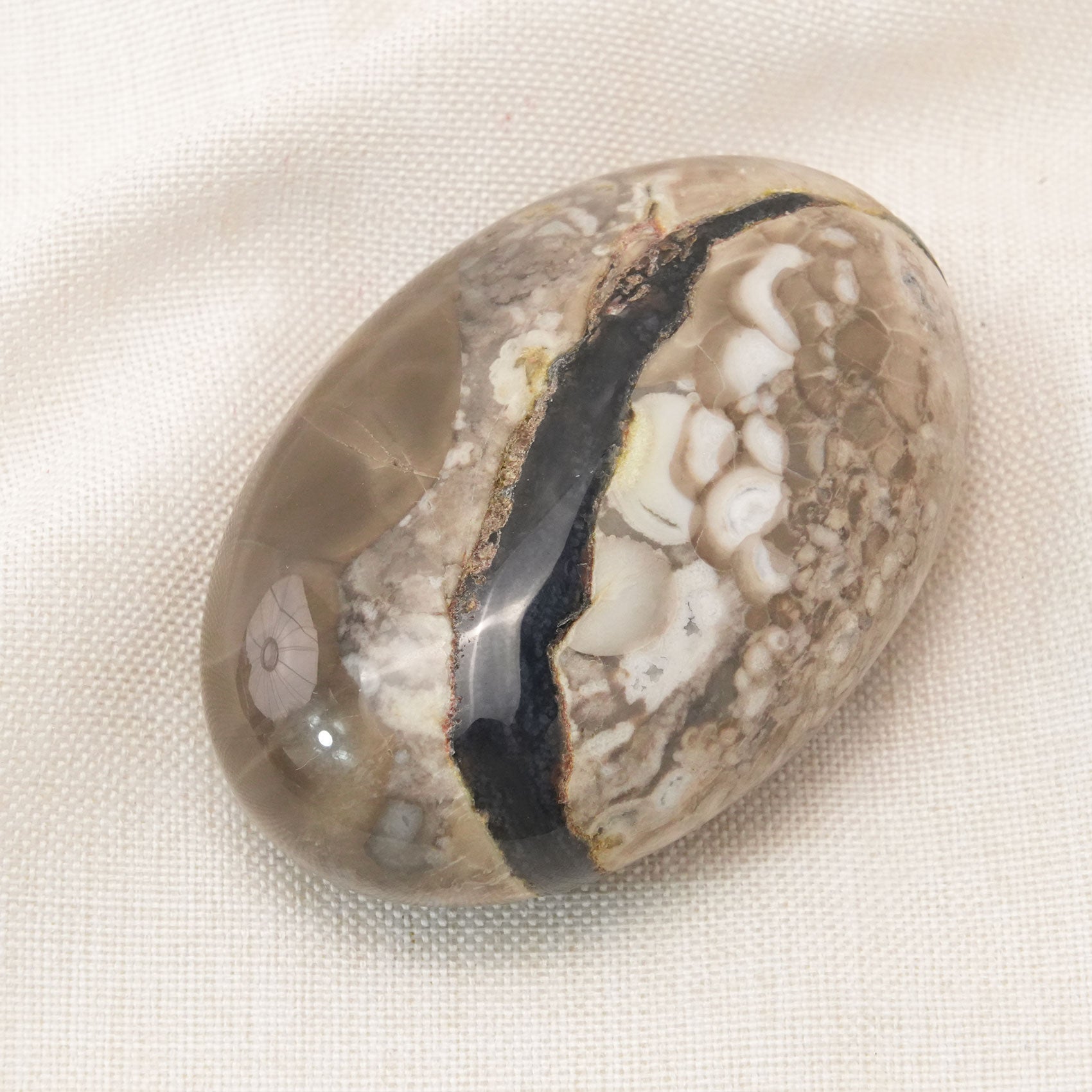 Volcanic Agate Palm Stone with vibrant colors and unique formations