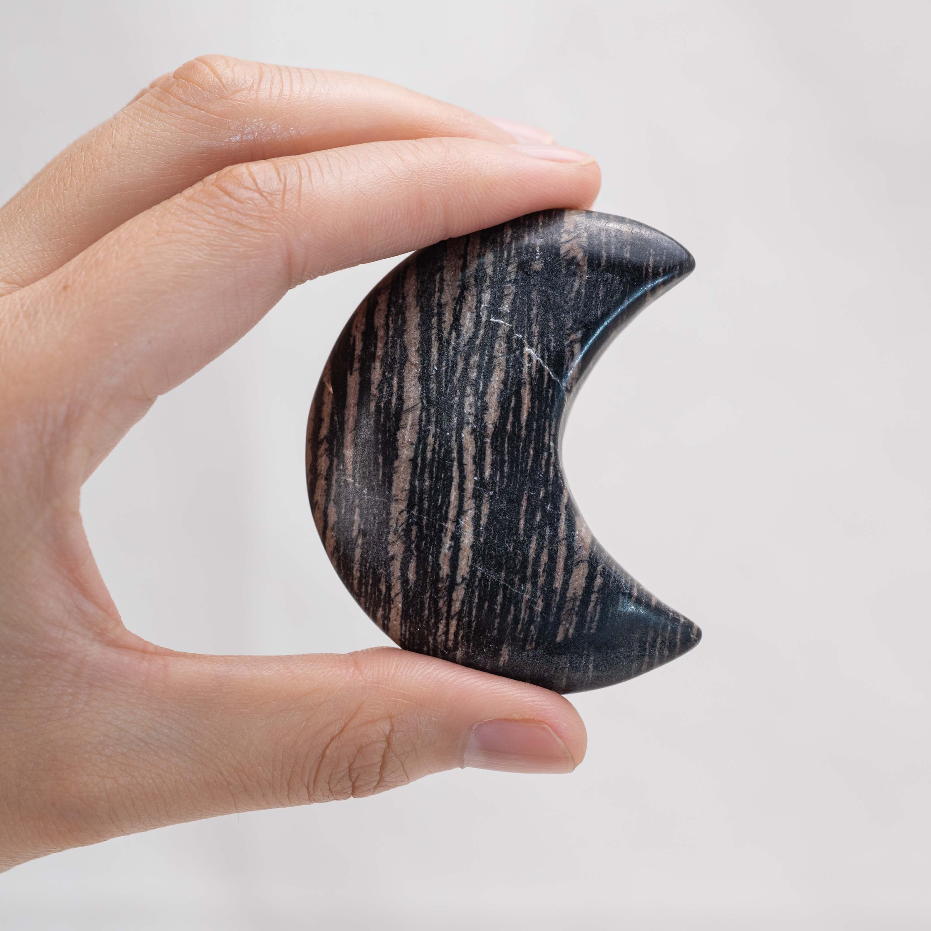 Hand holding Black Net Stone Star/Moon Palm Stone