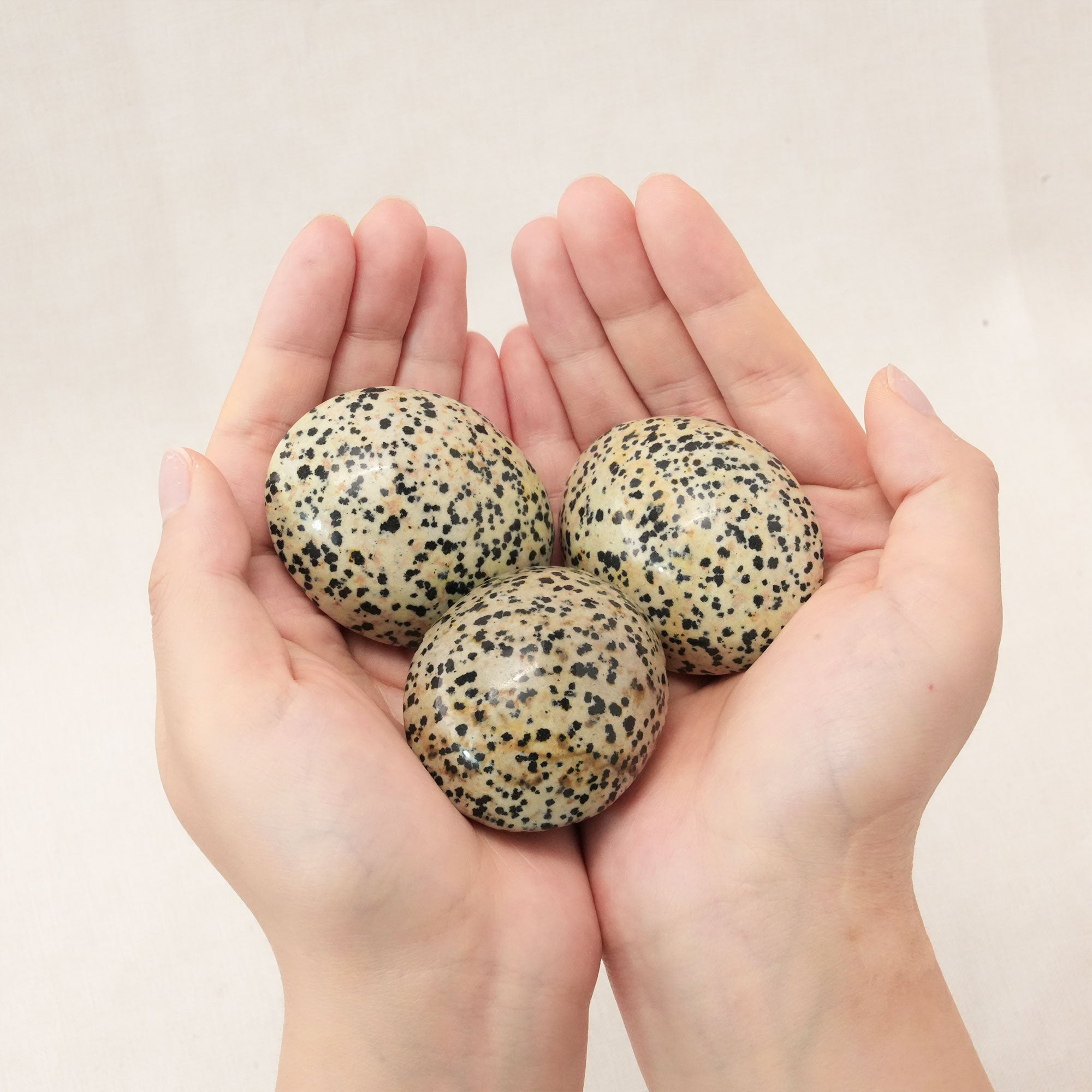 Dalmatian Jasper Palm Stone used in meditation to enhance focus.