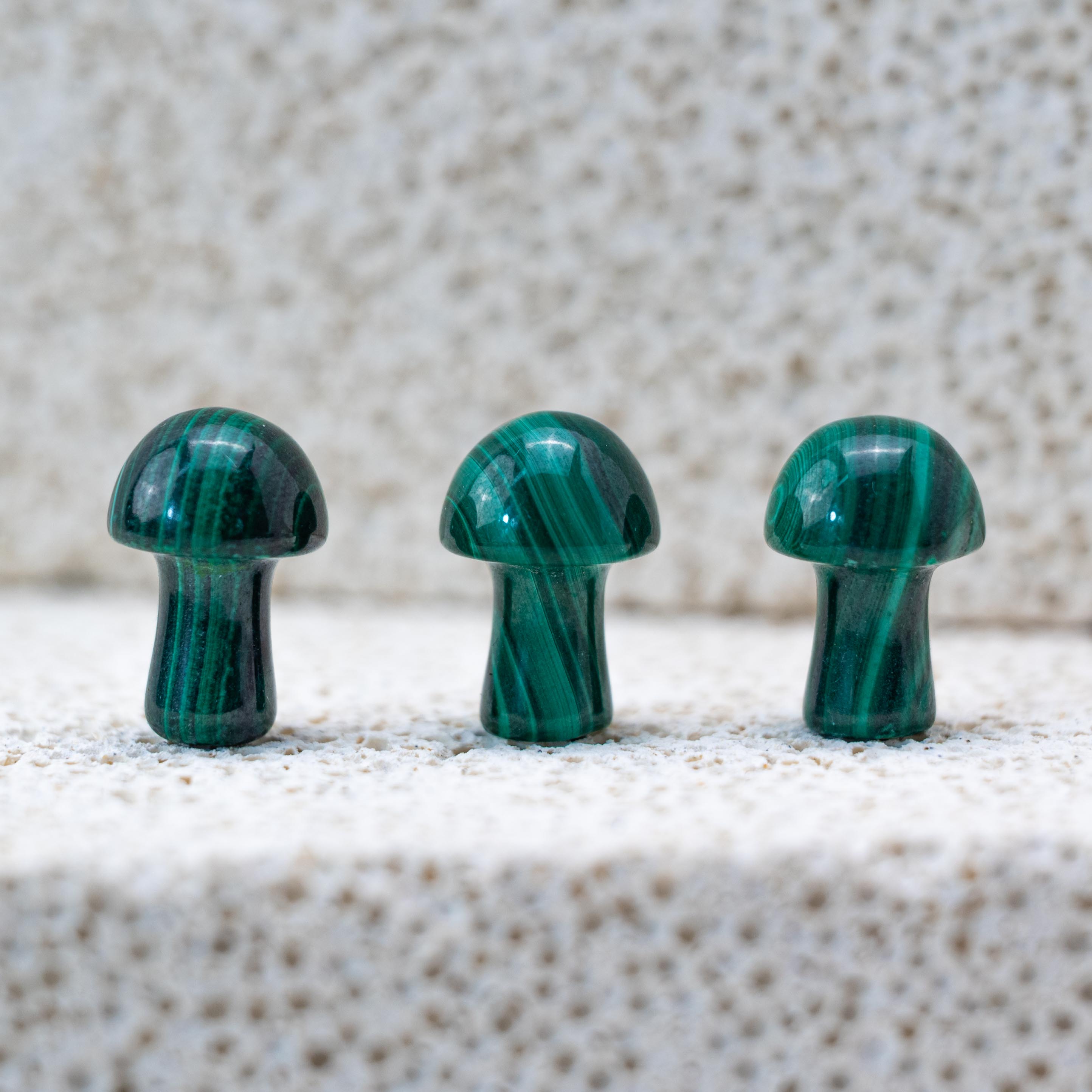 The rich green Malachite Mushroom enhances spiritual insight and clarity, ideal for meditation spaces.
