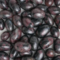 Garnet Tumble