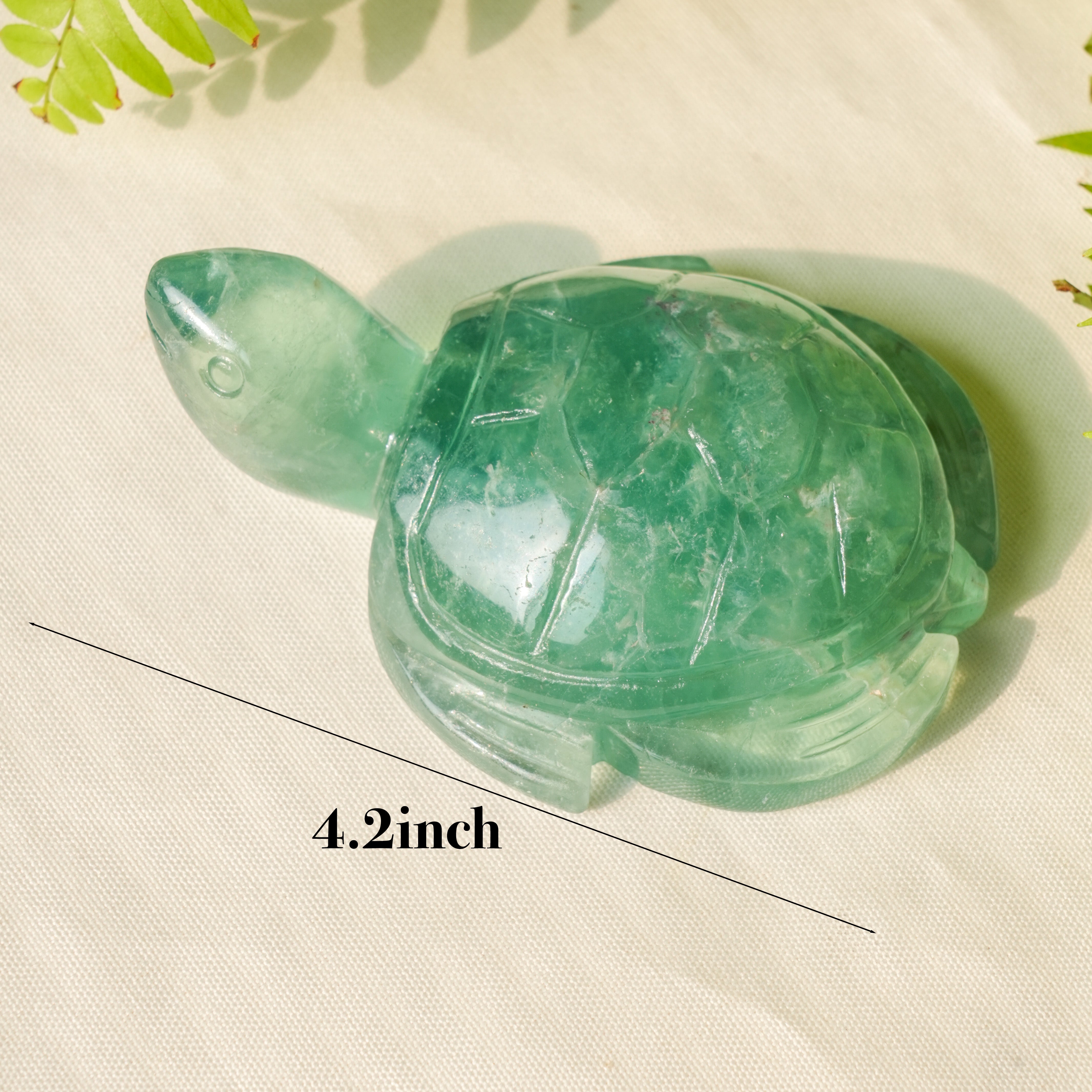 Green Fluorite Turtle