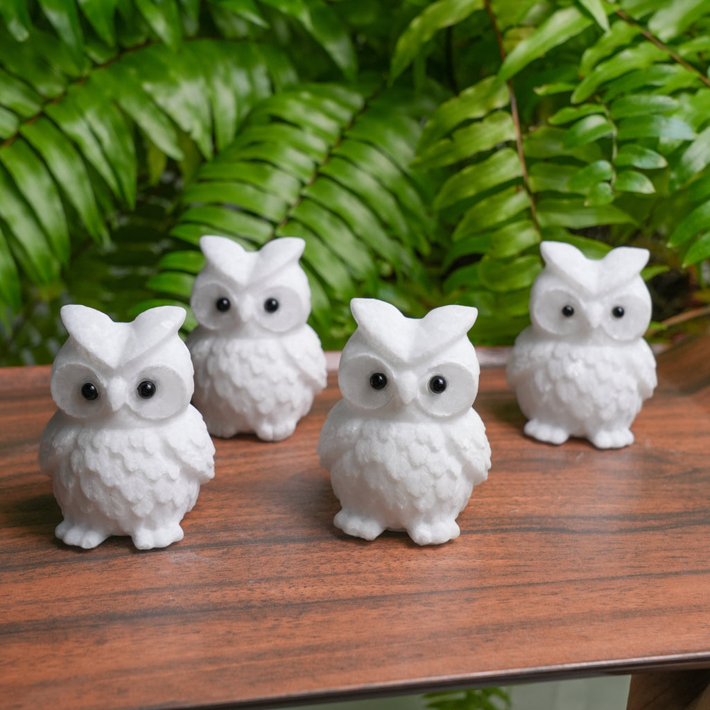 White Jade Owl