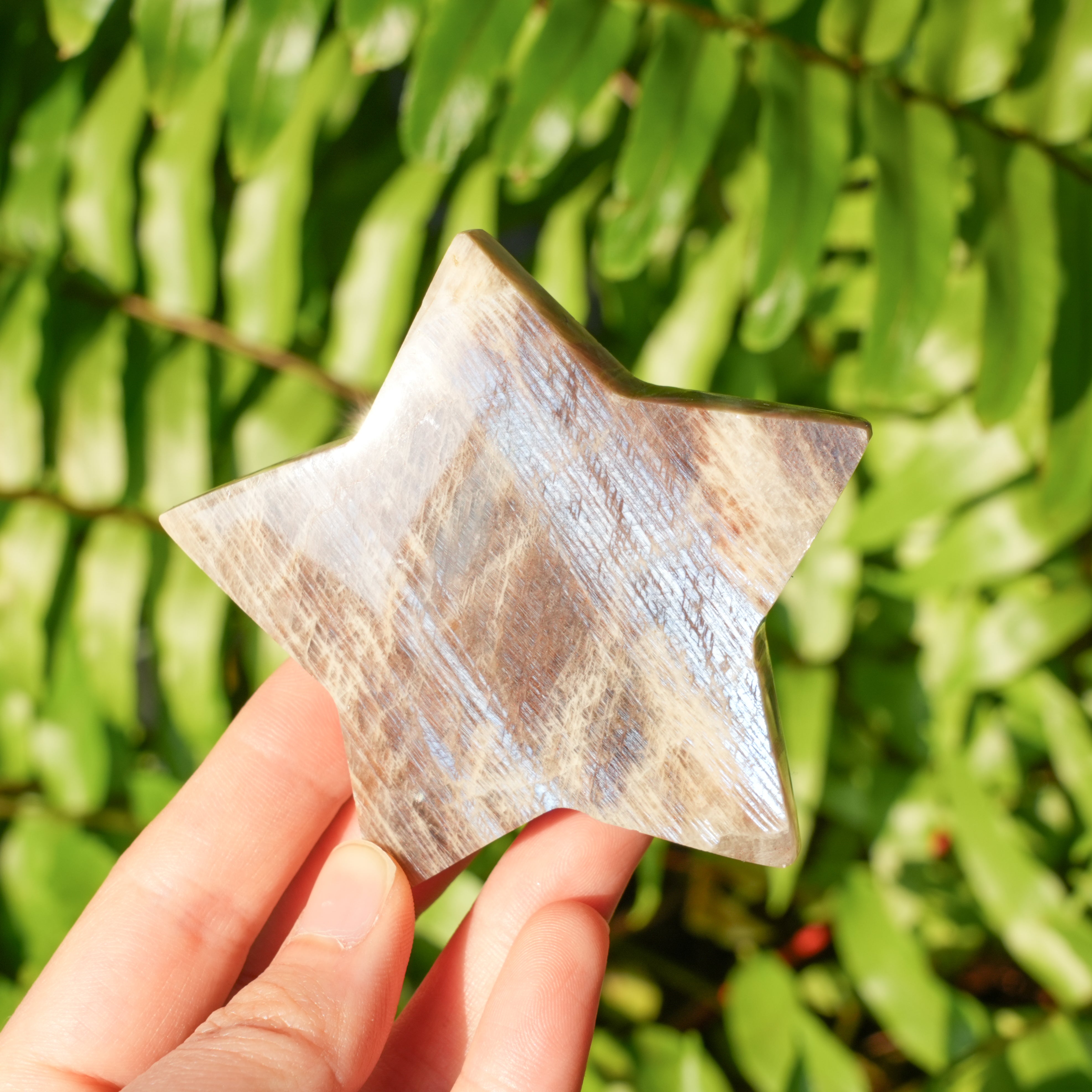 Blue Moonstone Palmstone Star