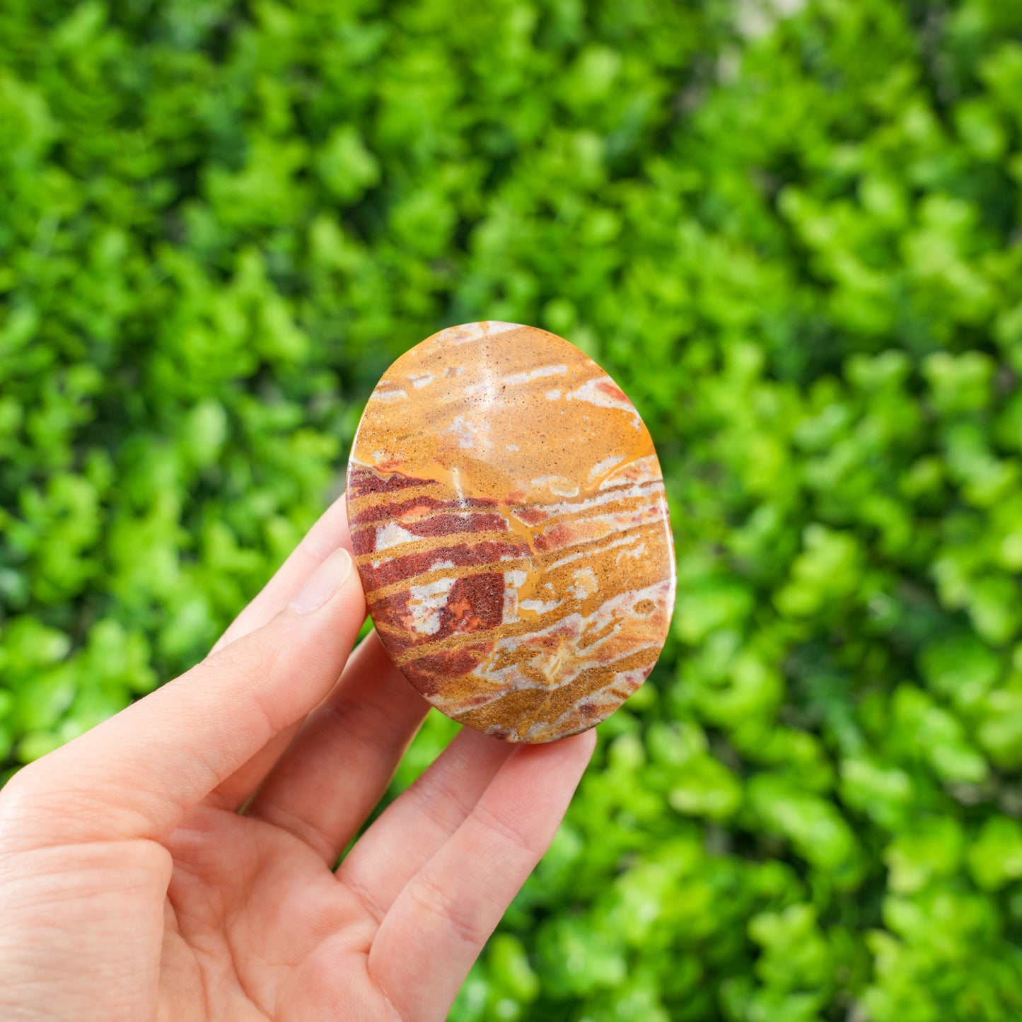 Hand Polished Van Gogh Stone Palm Stone - Unique Artistic Jasper for Grounding & Healing