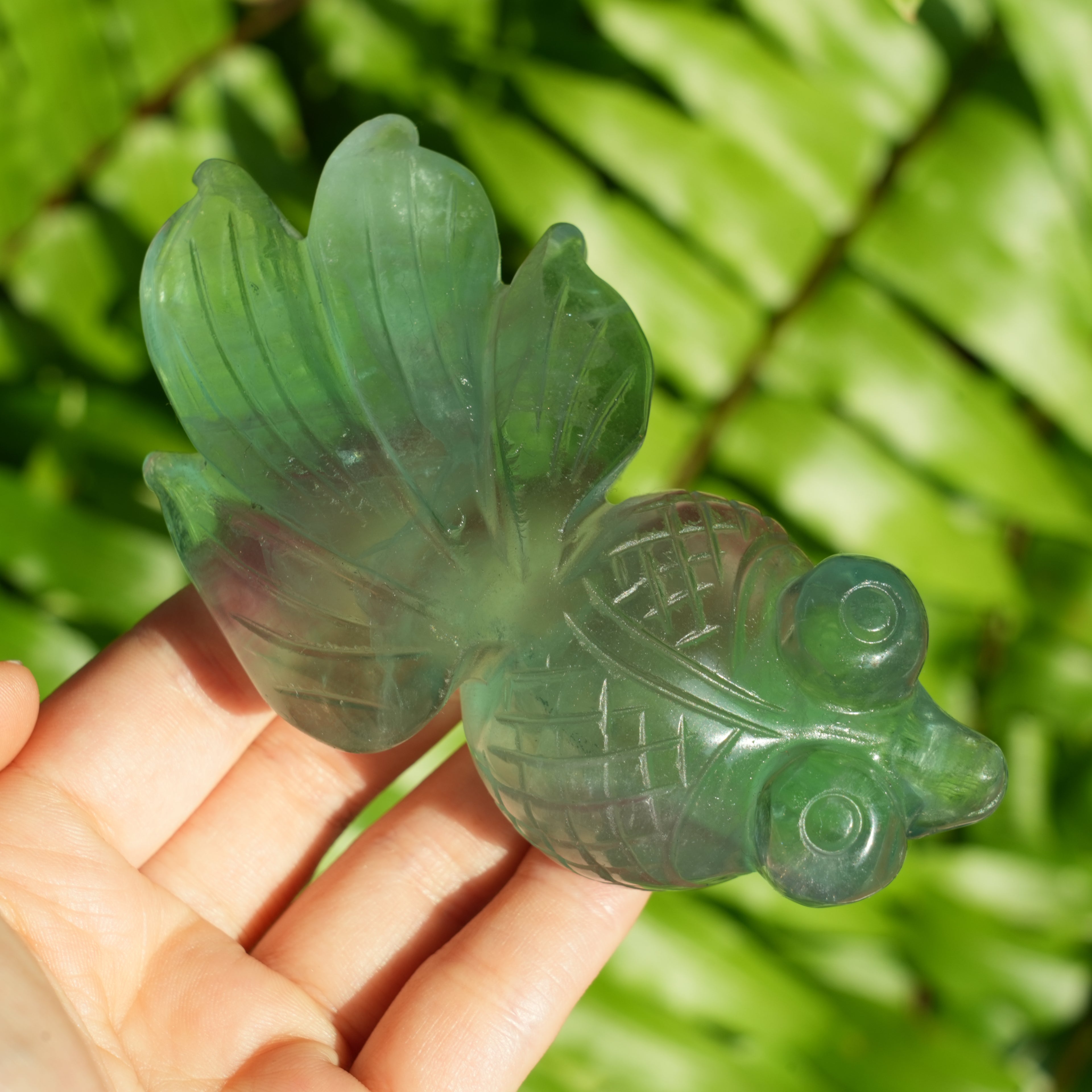 Fluorite Goldfish