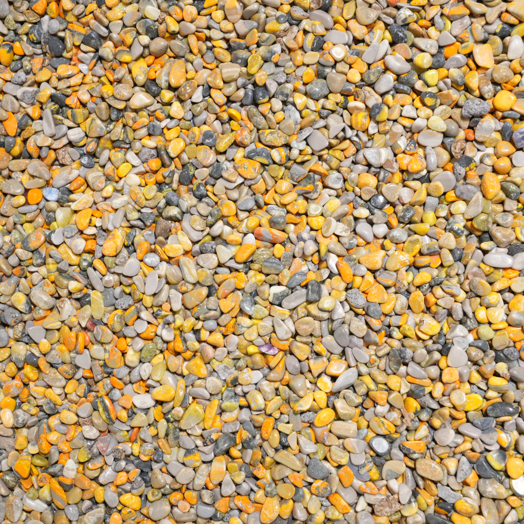 Blumblebee Jasper Chips