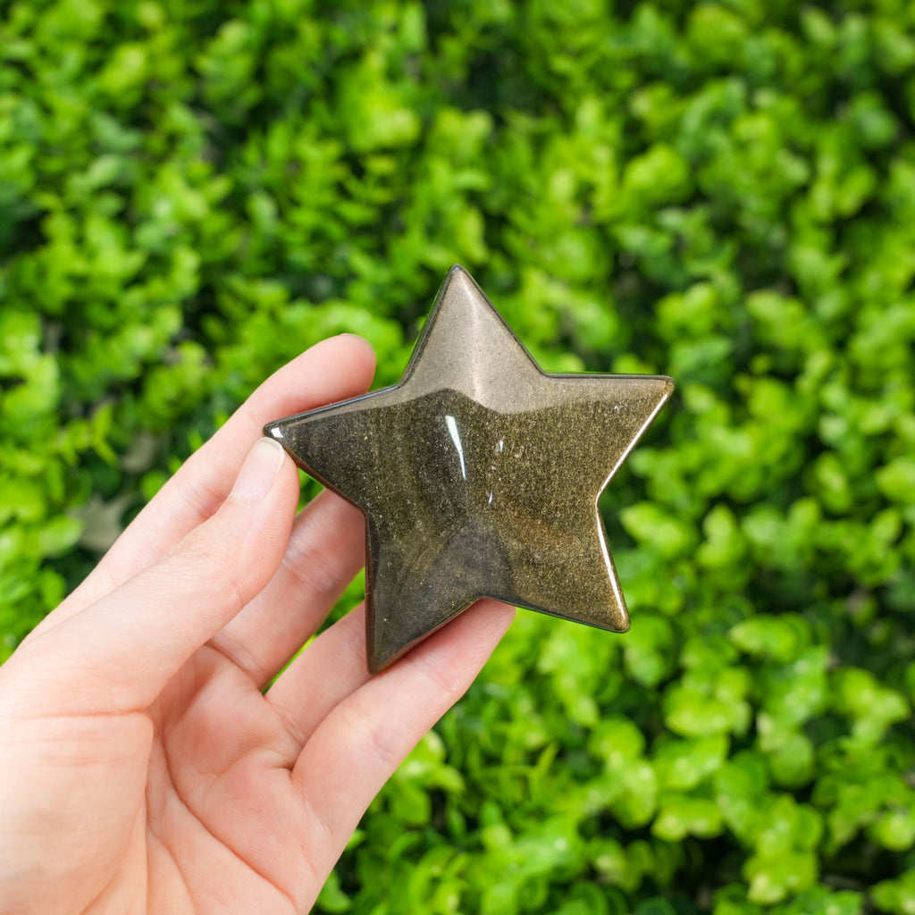 Natural Golden Obsidian Star Stones Polished Manifestation Stones for Wealth, Reiki Healing, and Protection