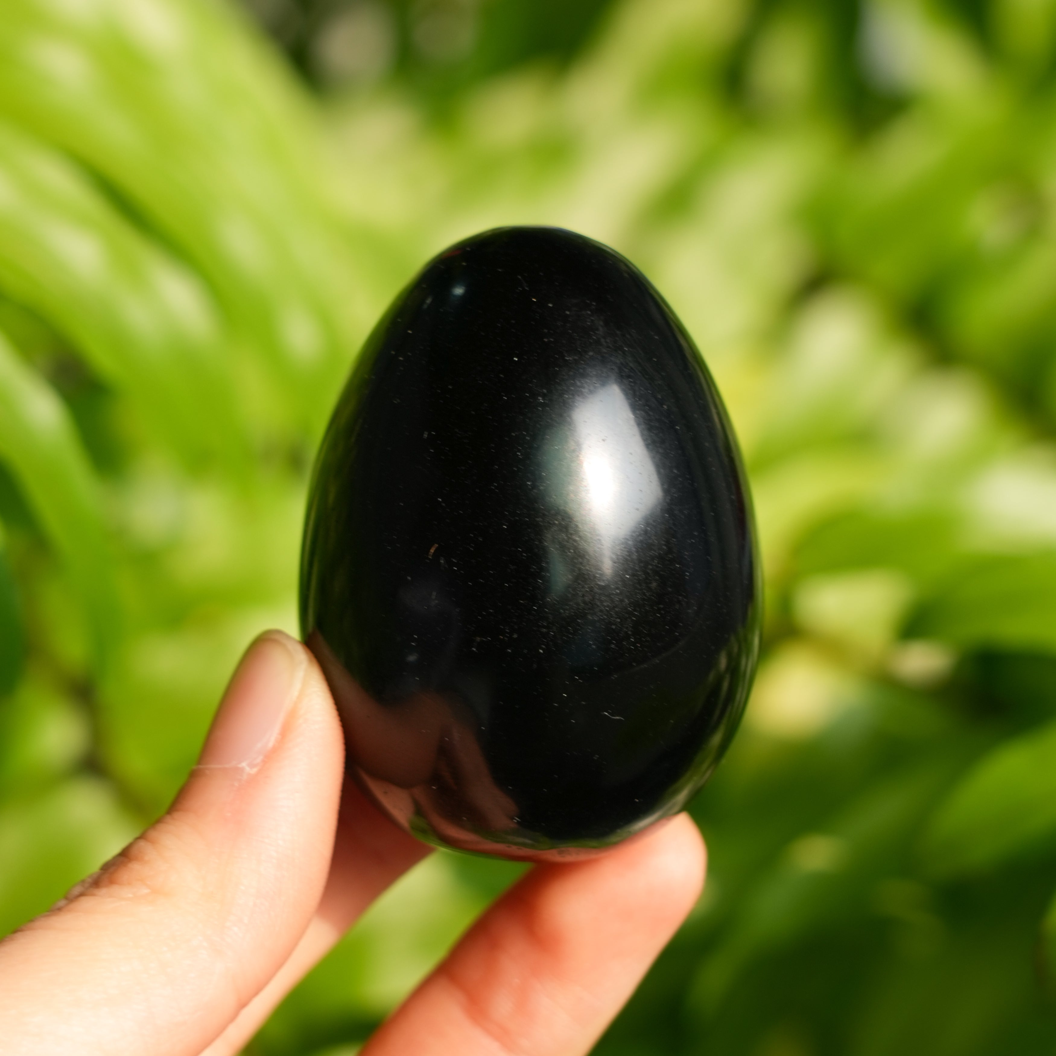 Black Obsidian Egg
