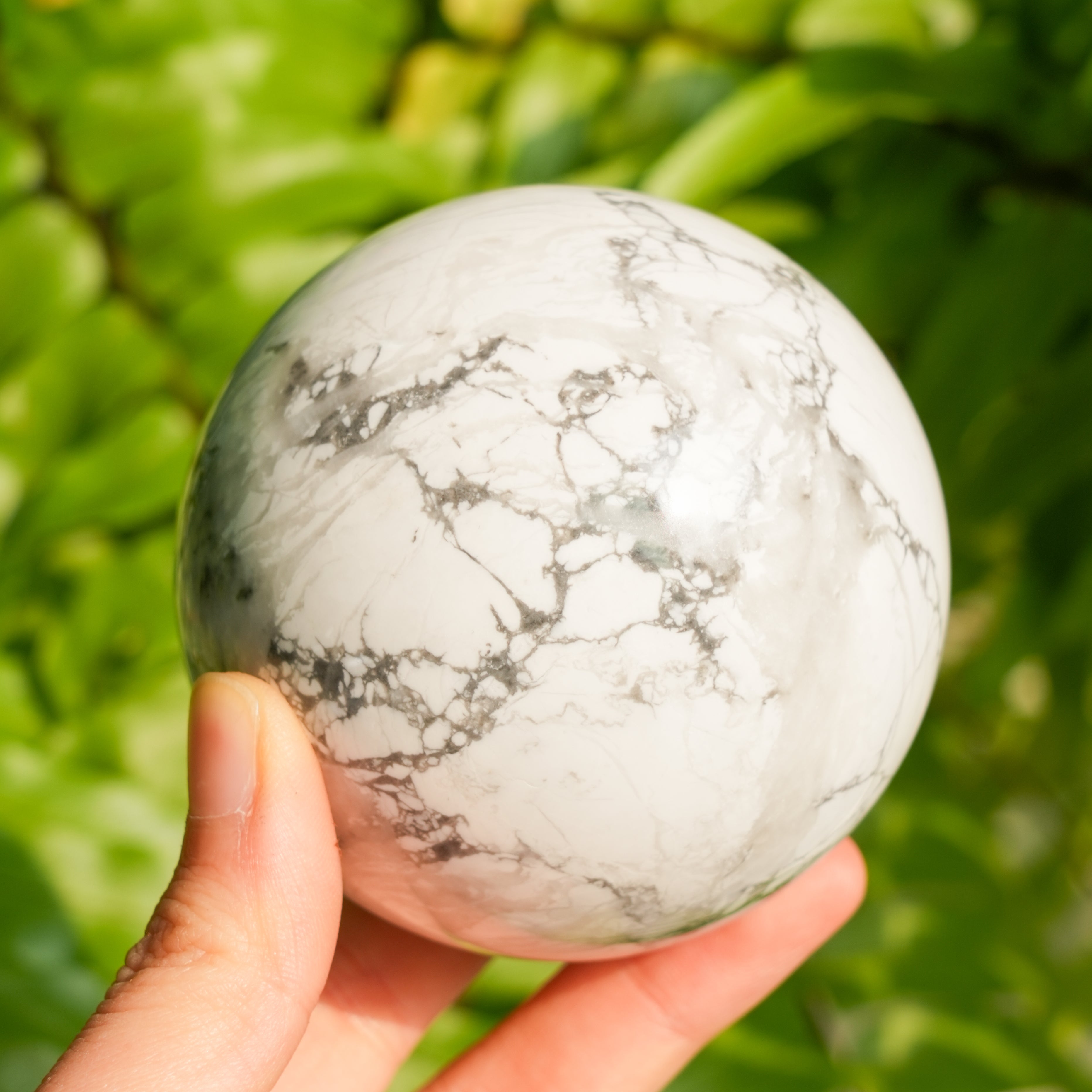 Howlite Sphere