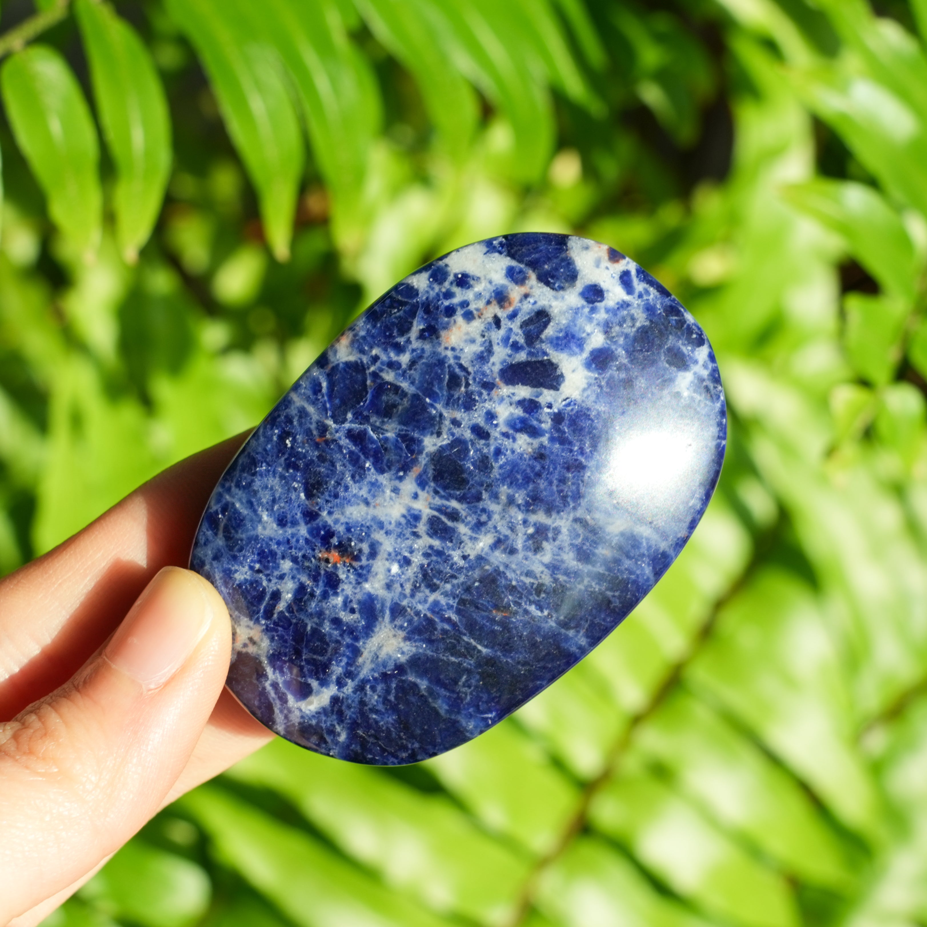 Sodalite Palmstone