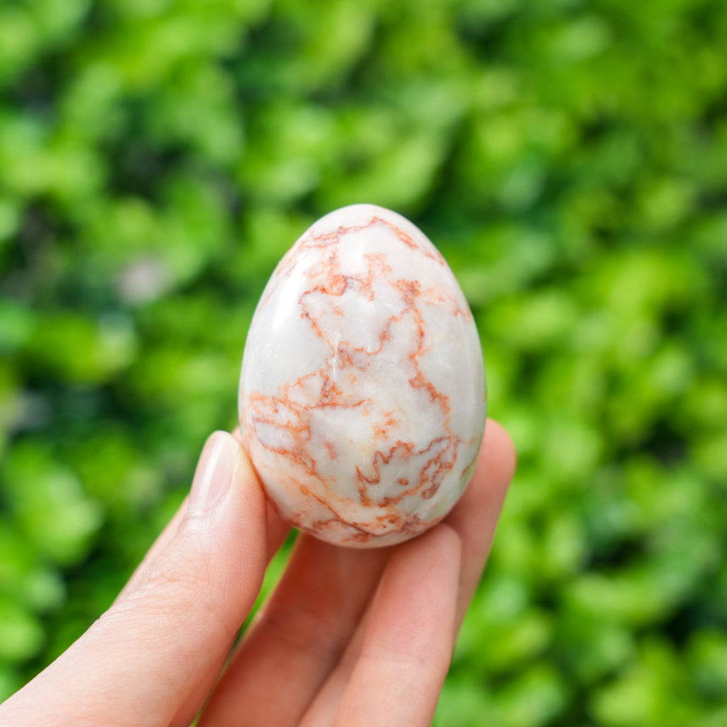 Egg Confetti