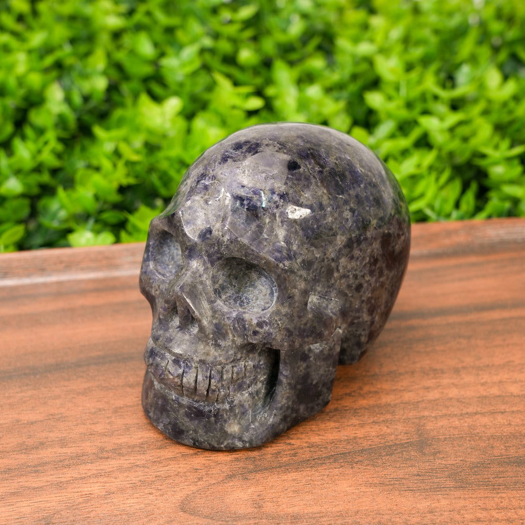 Hand-Carved Iolite Skull Statue Large Natural Gemstone Human Skull Carving, Healing Crystal Sculpture for Meditation, Gothic Home Decor, Reiki Stone for Intuition & Vision