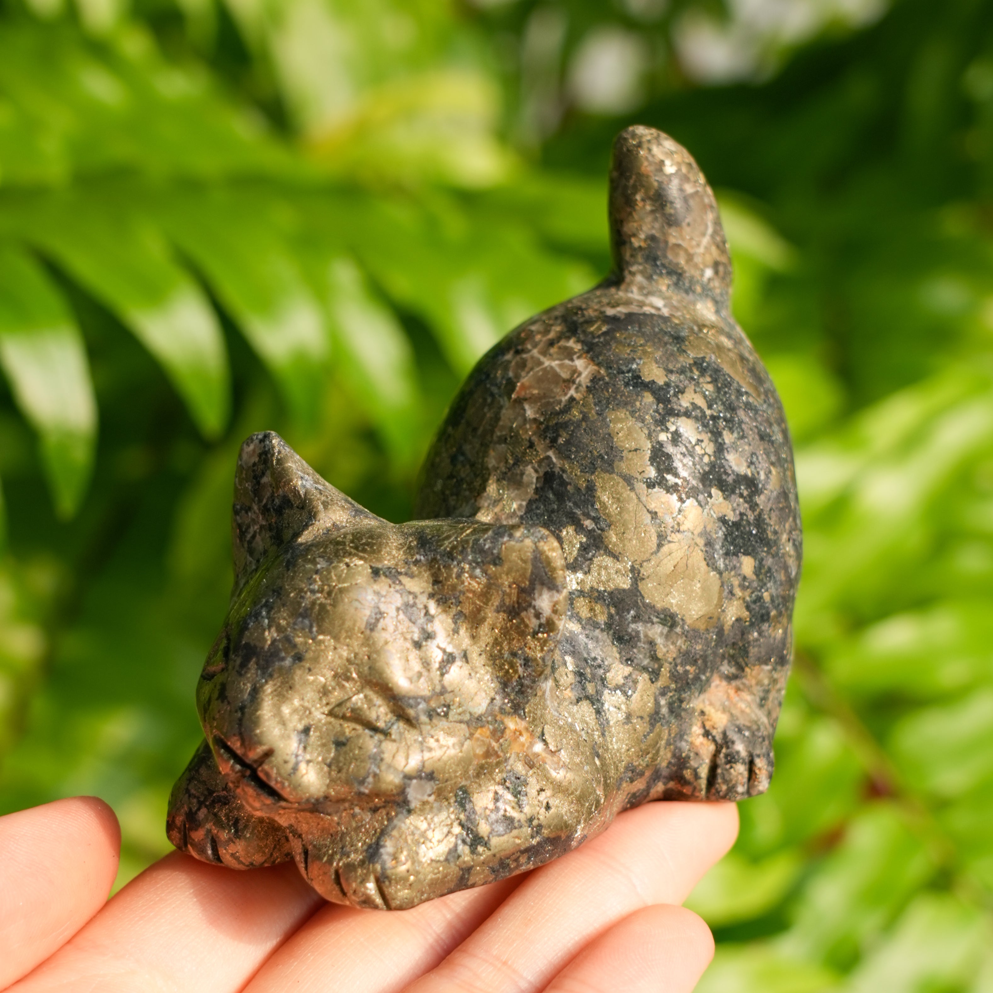 Pyrite Cat