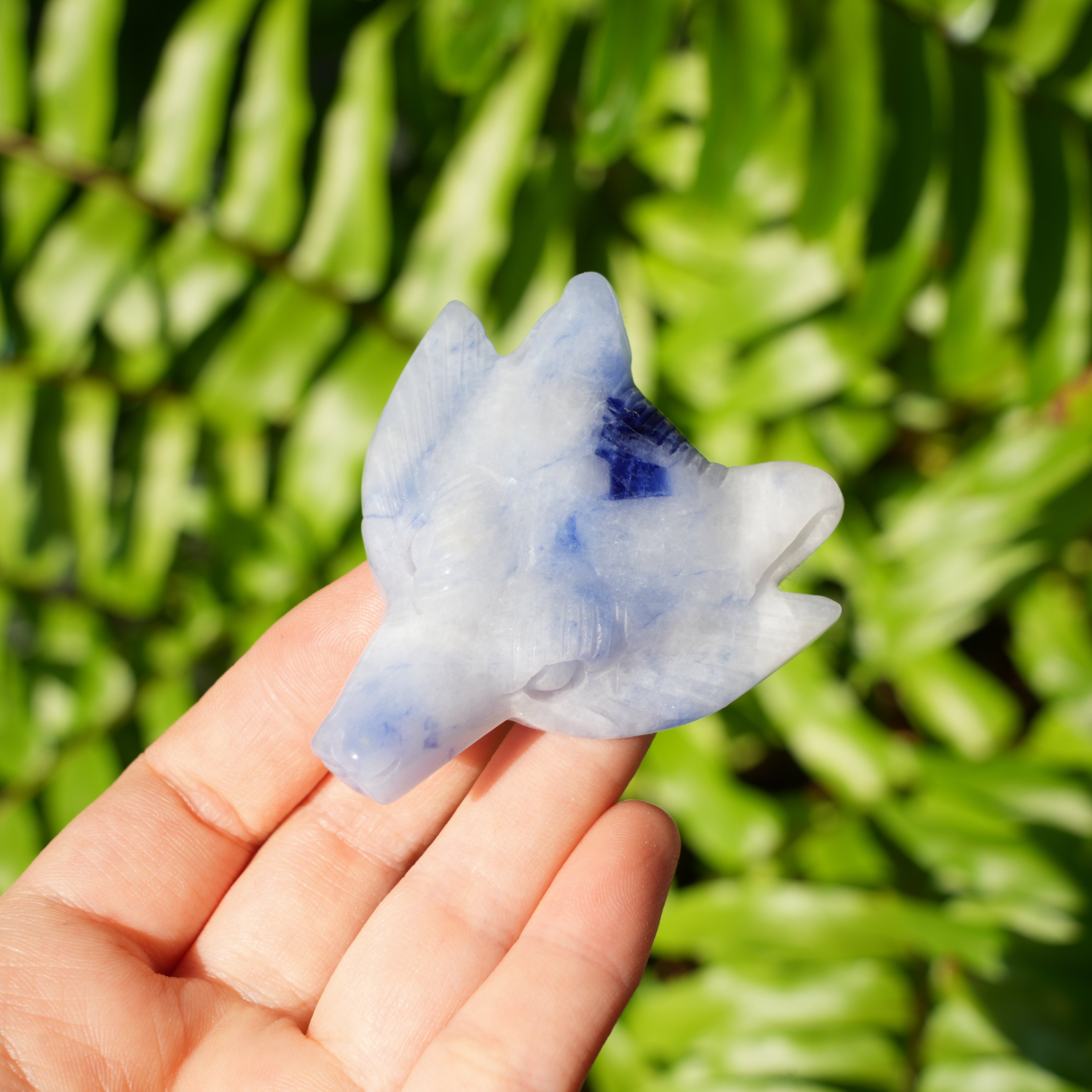 Porcelain Sodalite Wolf