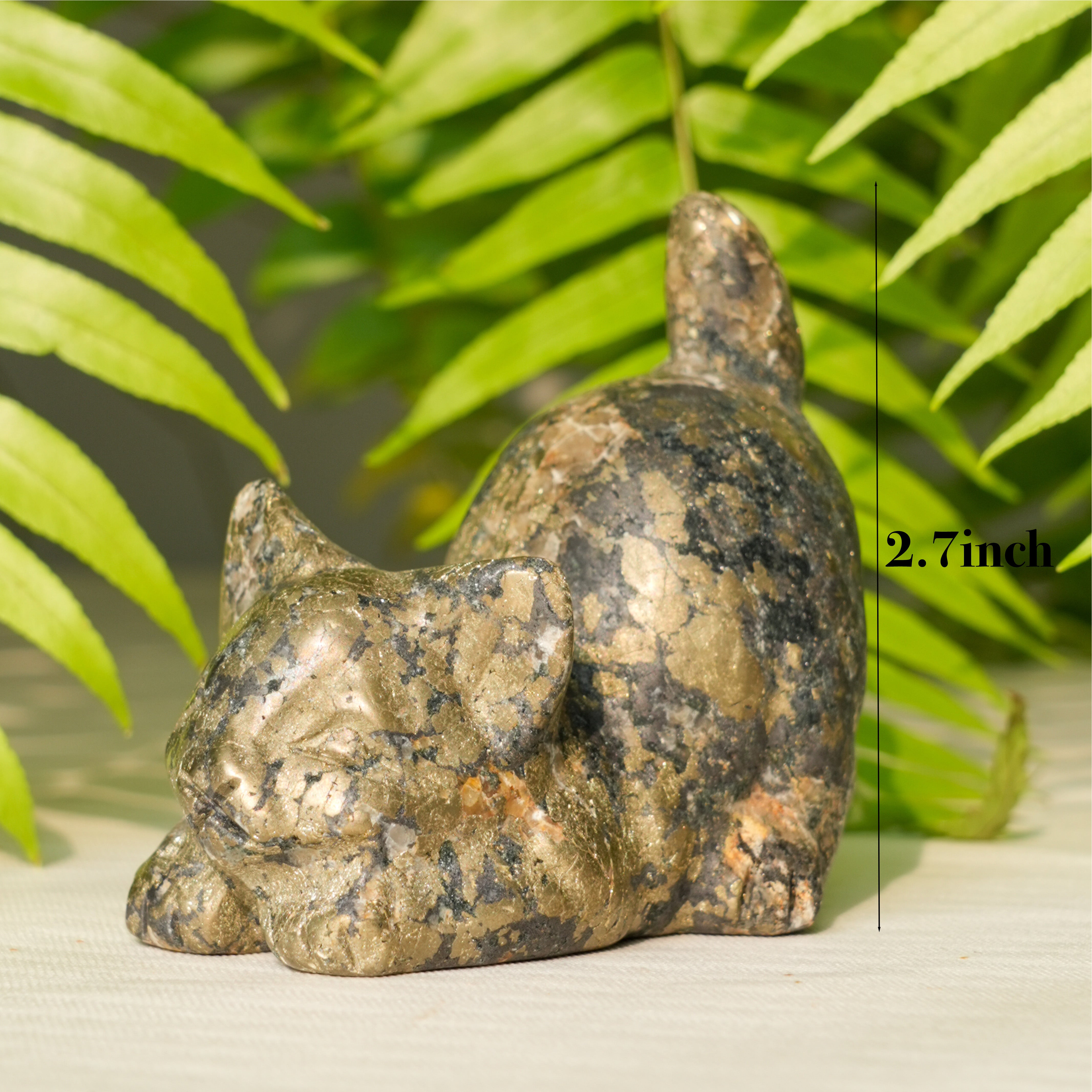 Pyrite Cat