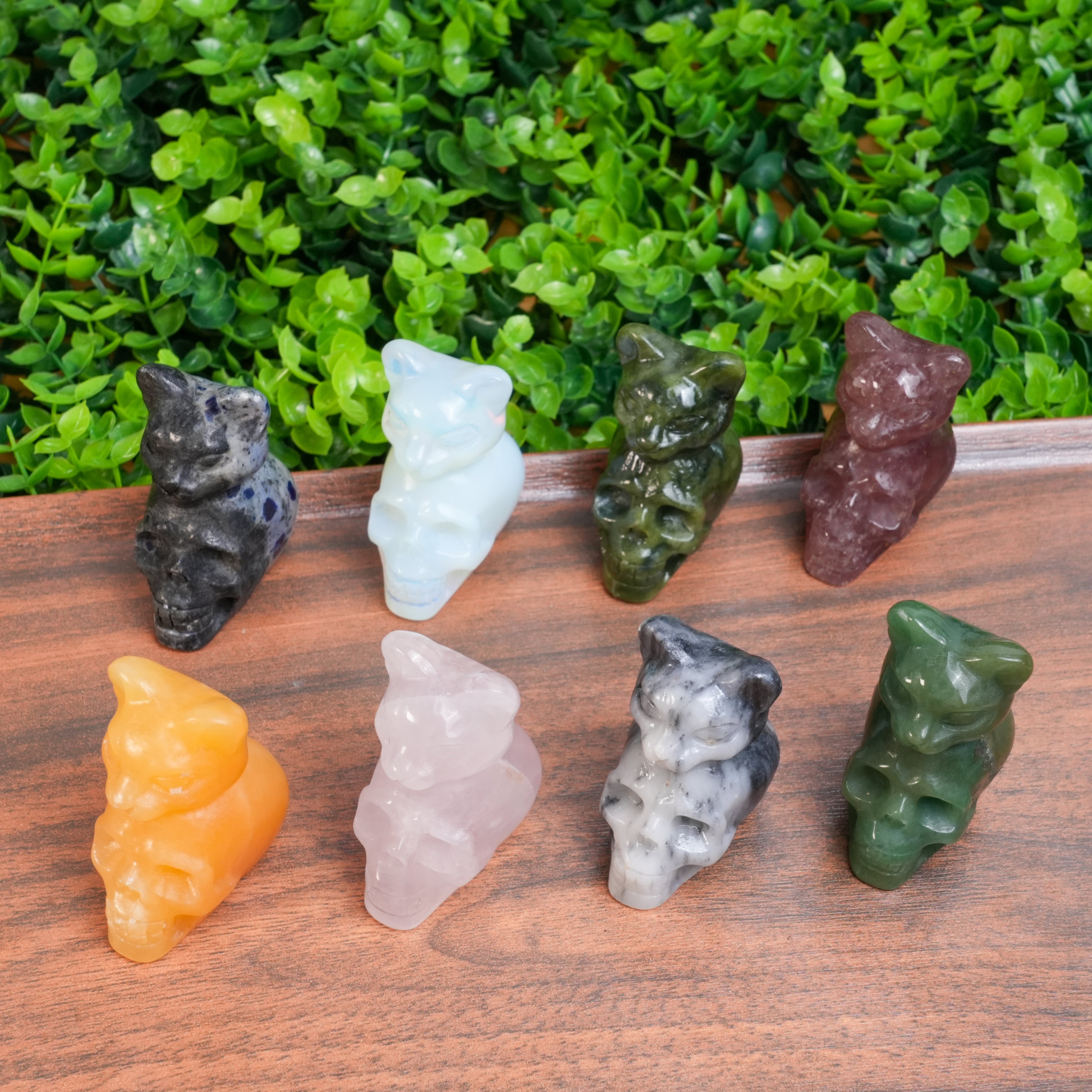 Hand-Carved Crystal Cat Skull Statue | Assorted Natural Gemstone Cat on Skull for Altar & Gothic Decor