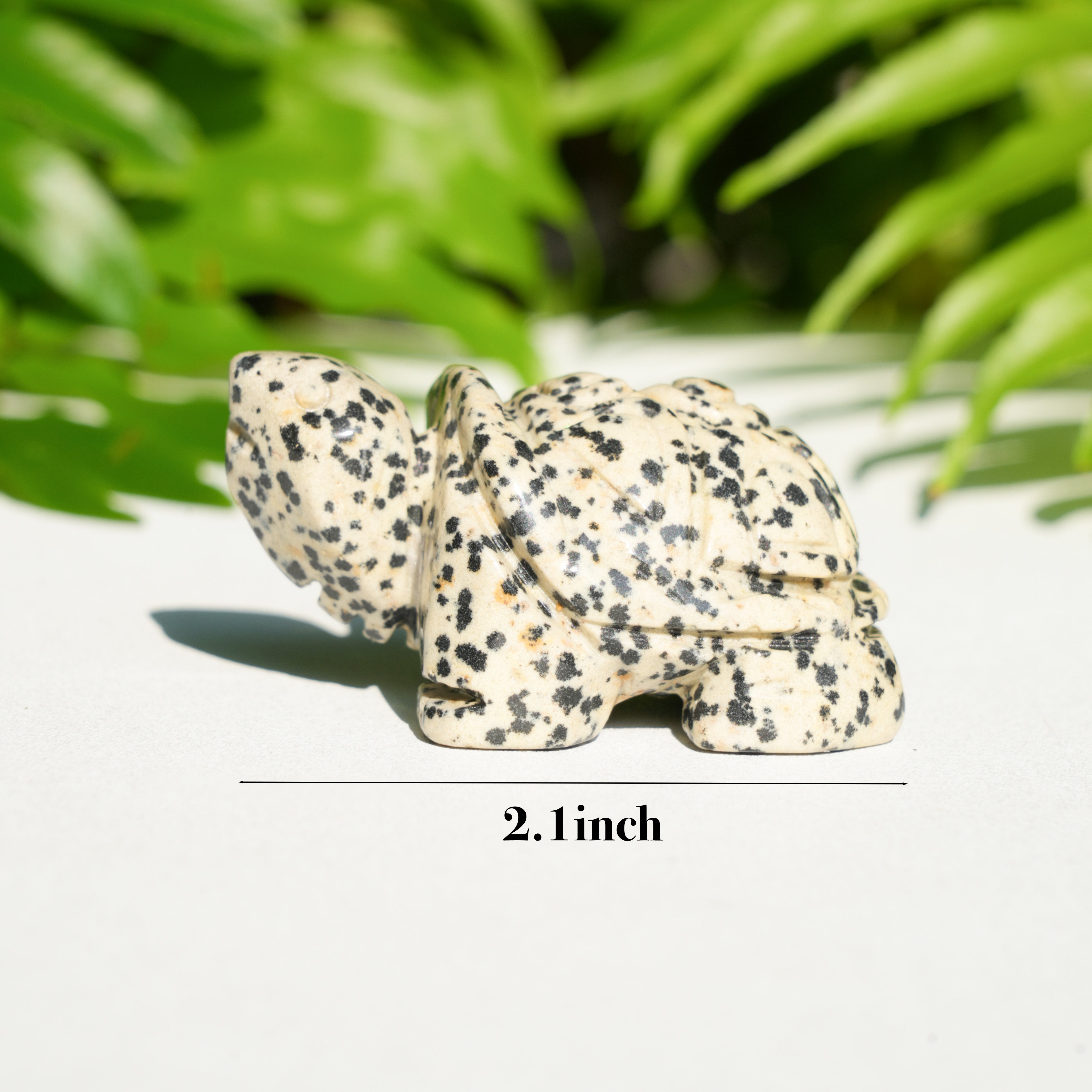 Dalmatian Jasper Turtle