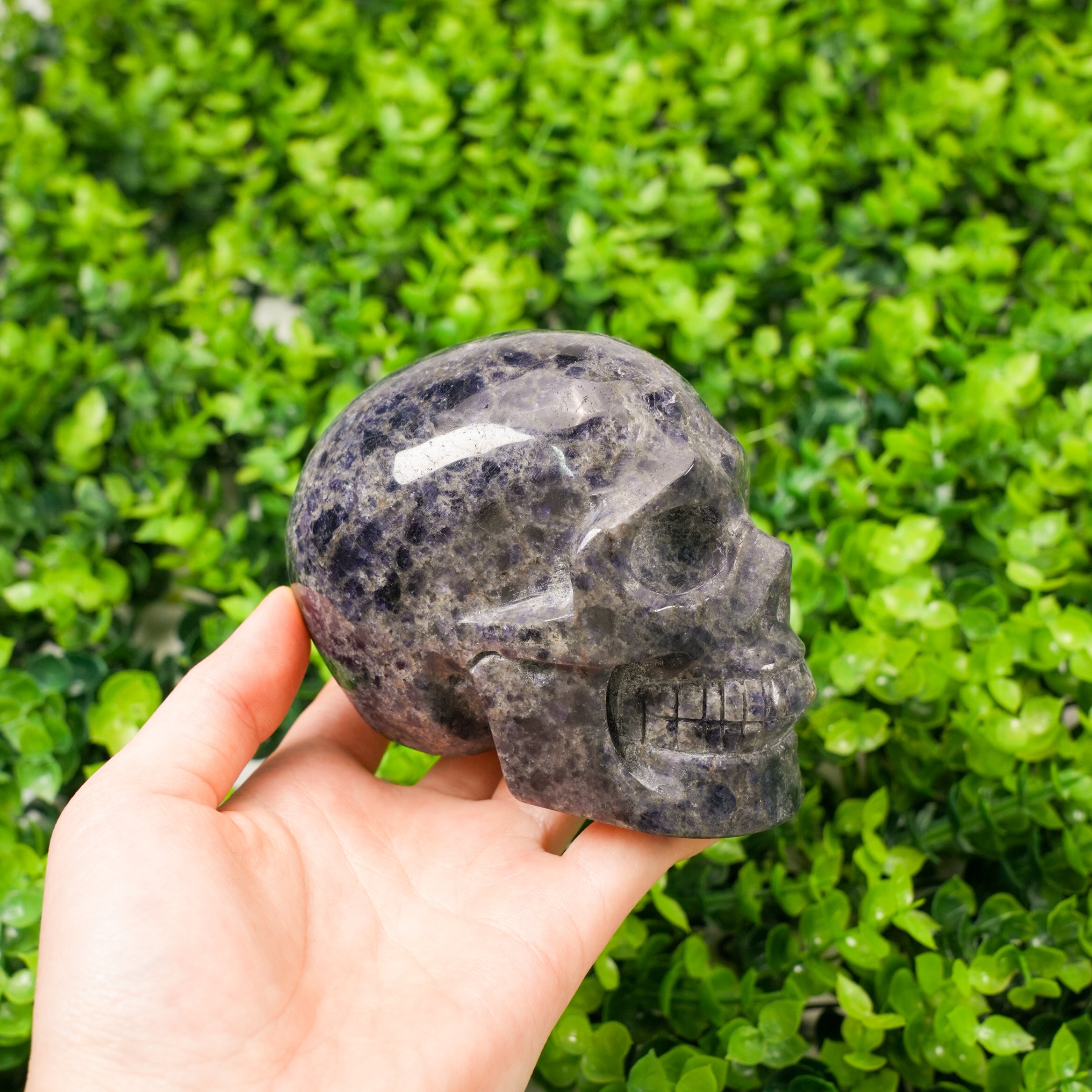 Hand-Carved Iolite Skull Statue Large Natural Gemstone Human Skull Carving, Healing Crystal Sculpture for Meditation, Gothic Home Decor, Reiki Stone for Intuition & Vision