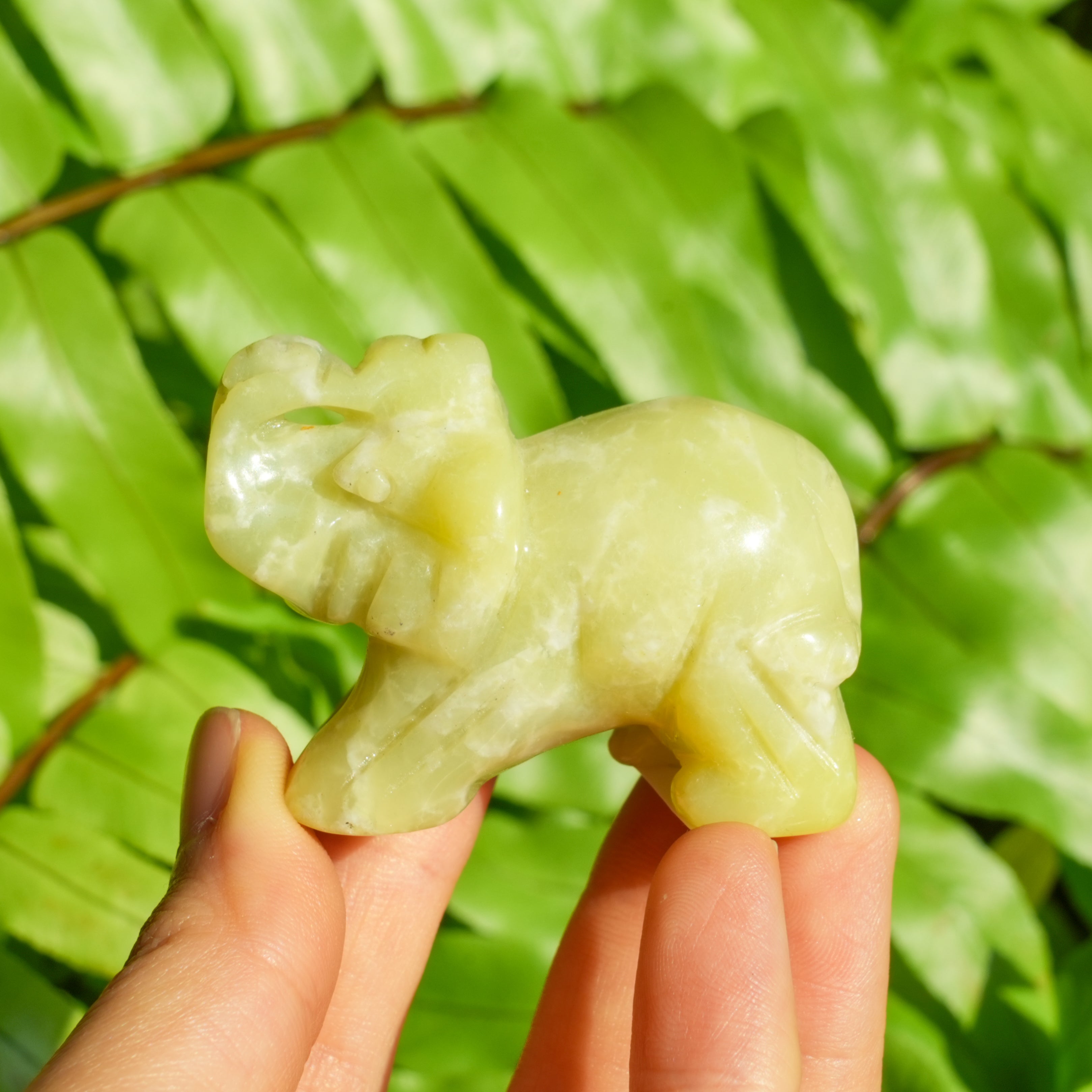 Lemon Jade Elephant
