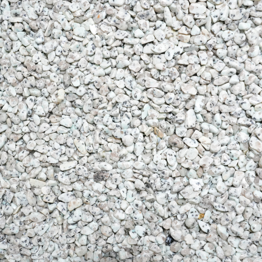 Kiwi Jasper Chips