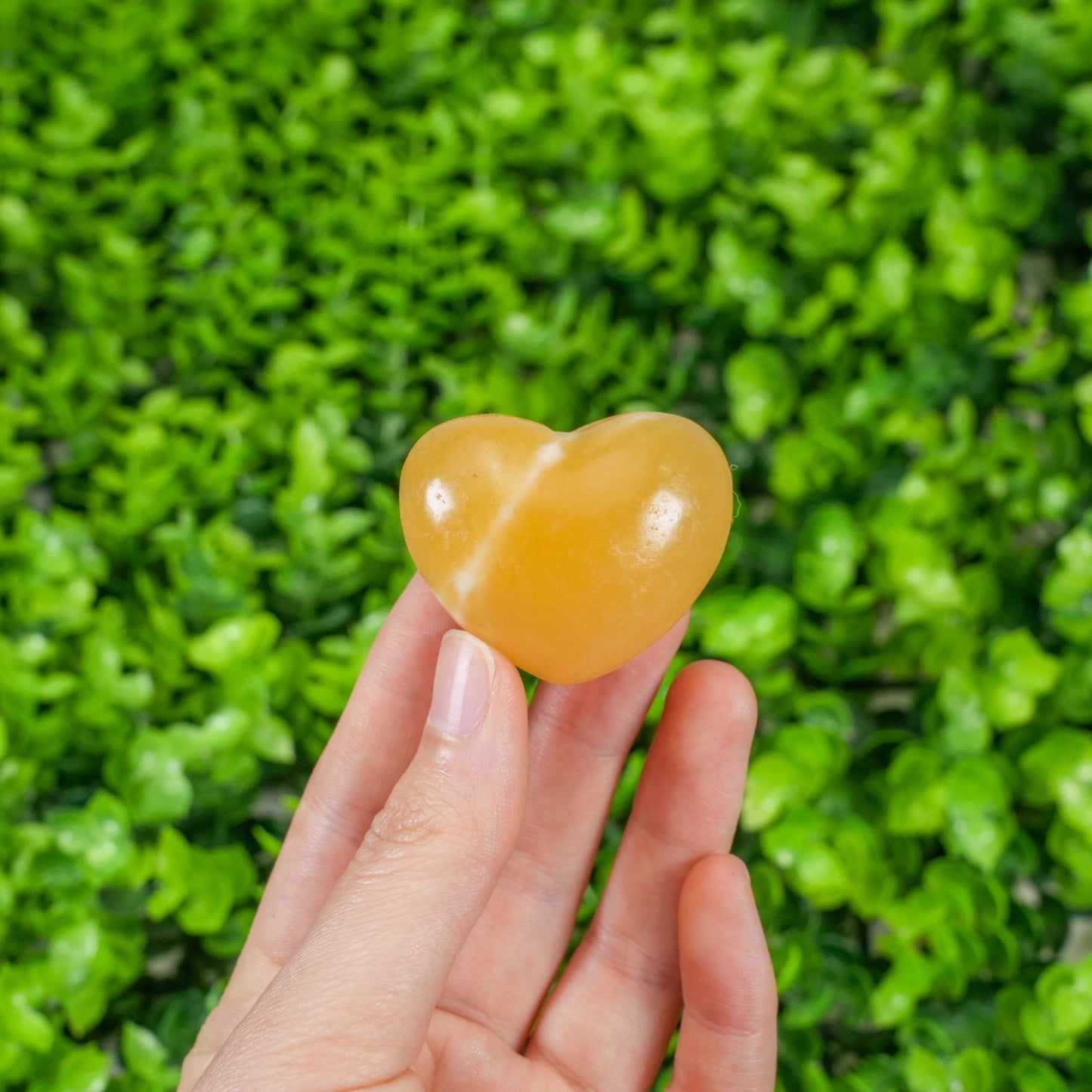 Assorted Crystal Heart Palm Stones | Mixed Natural Gemstone Hearts for Healing