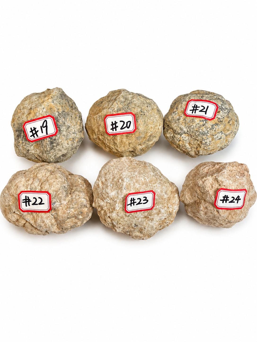 Natural White Agate Geode Raw Nodule | Unopened Whole Geode, You Can Crack It Yourself or We Pre‑Open for You