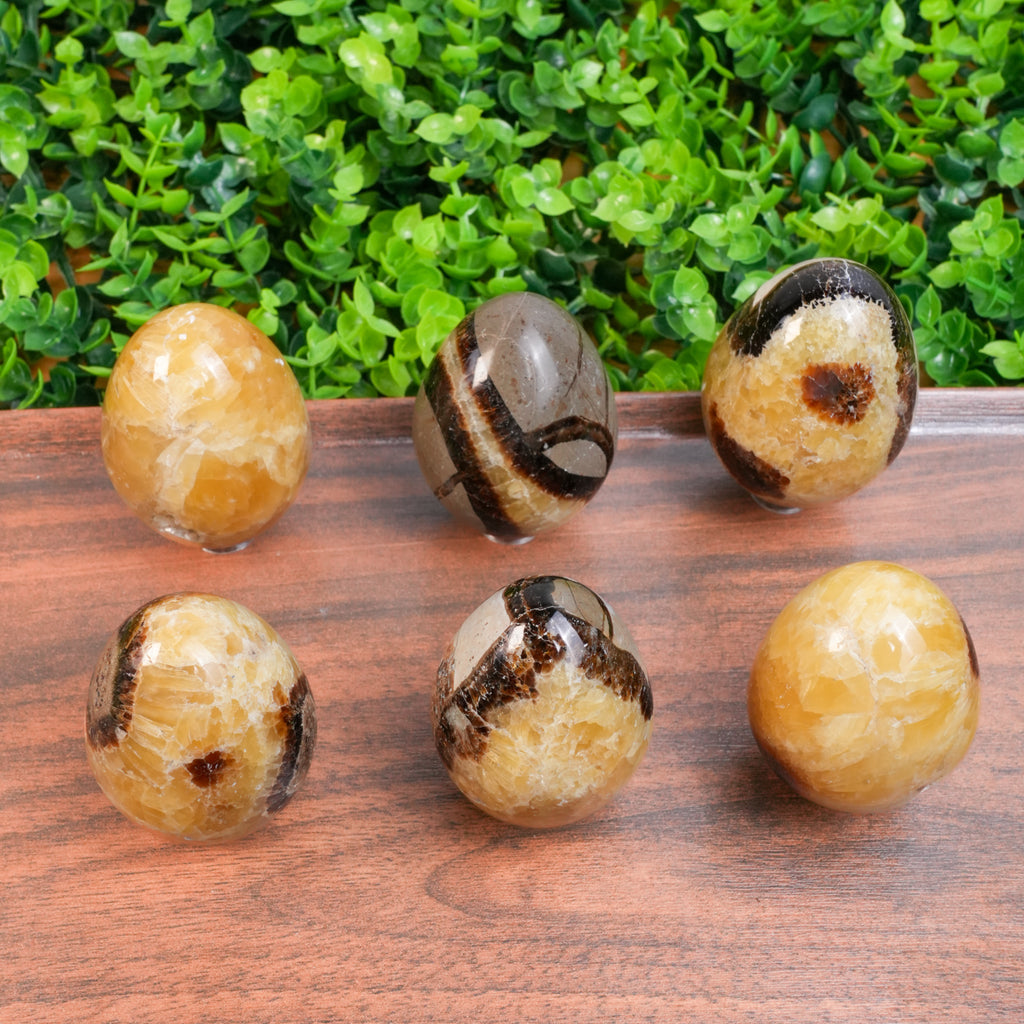 Septarian Dragon Egg Crystal | Natural Septarian Tumbled Stone for Grounding & Emotional Balance