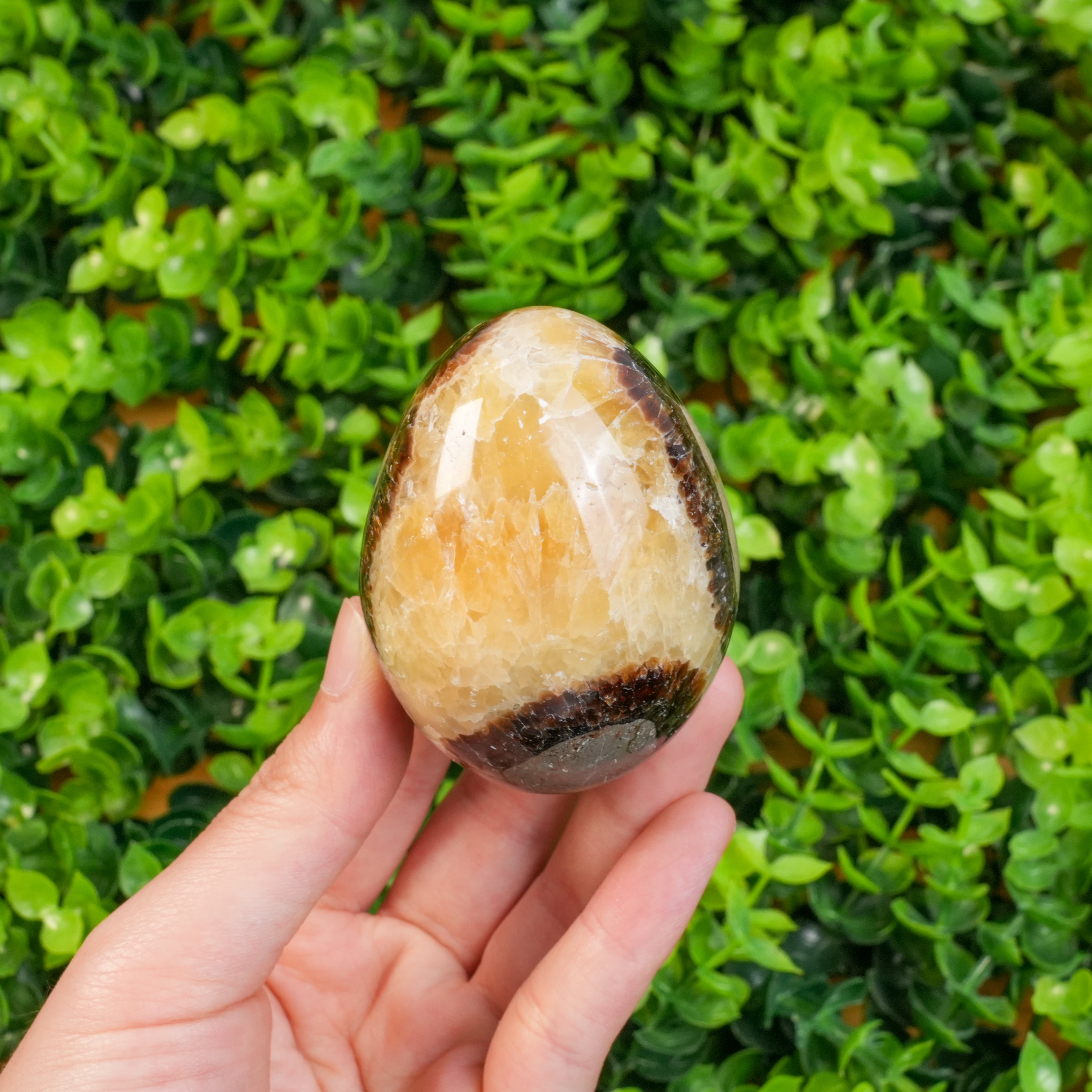 Septarian Dragon Egg Crystal | Natural Septarian Tumbled Stone for Grounding & Emotional Balance