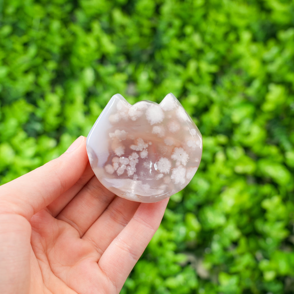 Flower Agate Cat Head Carving | Natural Cherry Blossom Agate Crystal