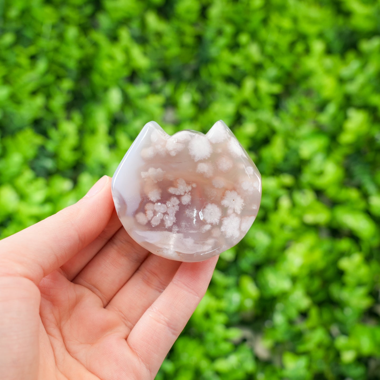 Flower Agate Cat Head Carving | Natural Cherry Blossom Agate Crystal