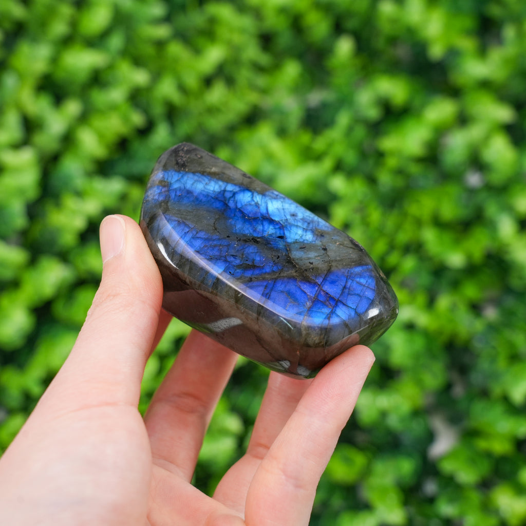 Natural Labradorite Freeform Large Polished Flashy Spectrolite Stone, High-Flash Healing Crystal for Intuition & Magic, Unique Gemstone Decor for Office, Meditation & Reik