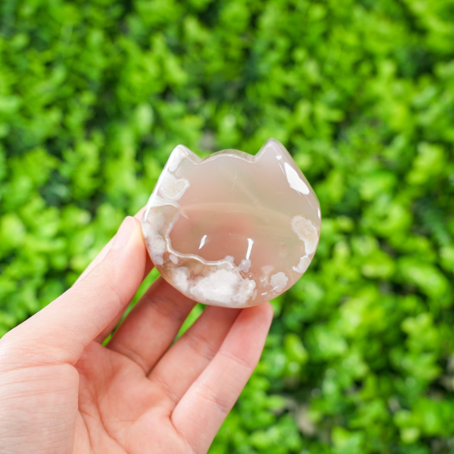 Flower Agate Cat Head Carving | Natural Cherry Blossom Agate Crystal