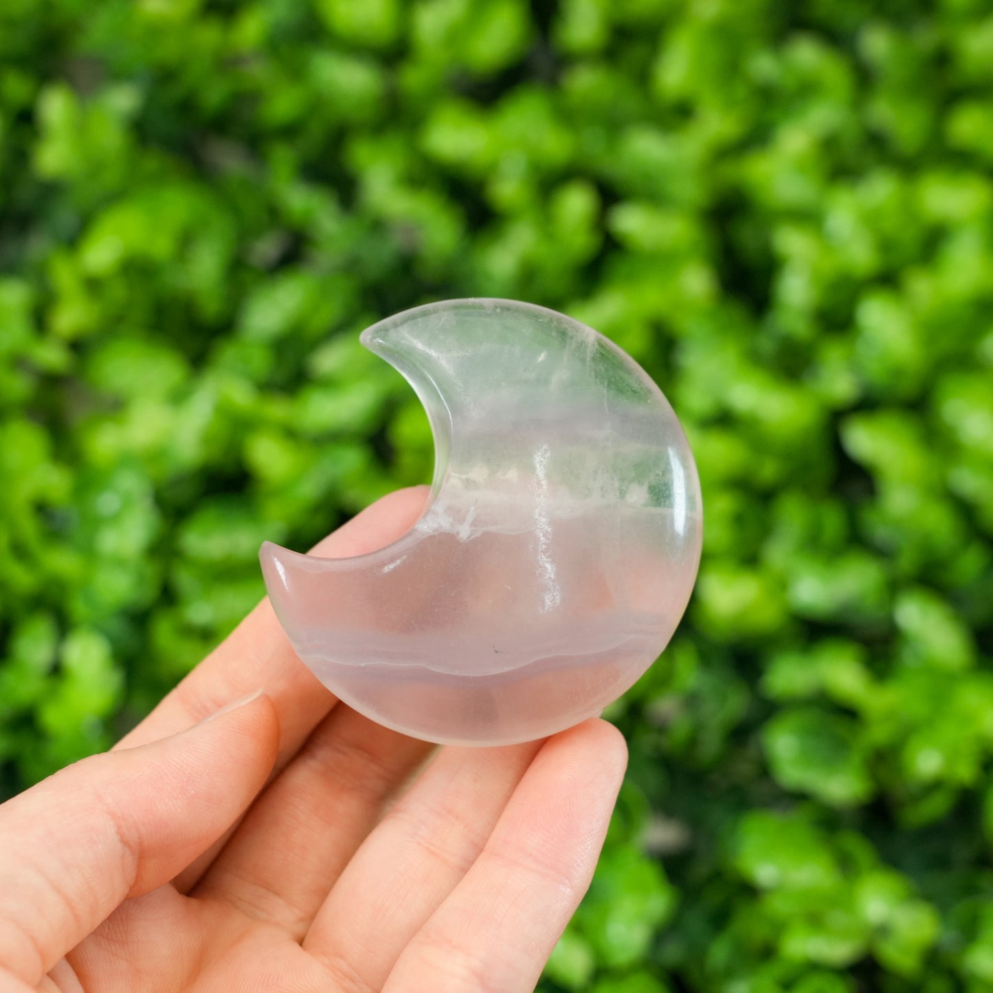 Fluorite Moon Palm Stone | Natural Polished Fluorite Crescent Crystal for Clarity & Focus