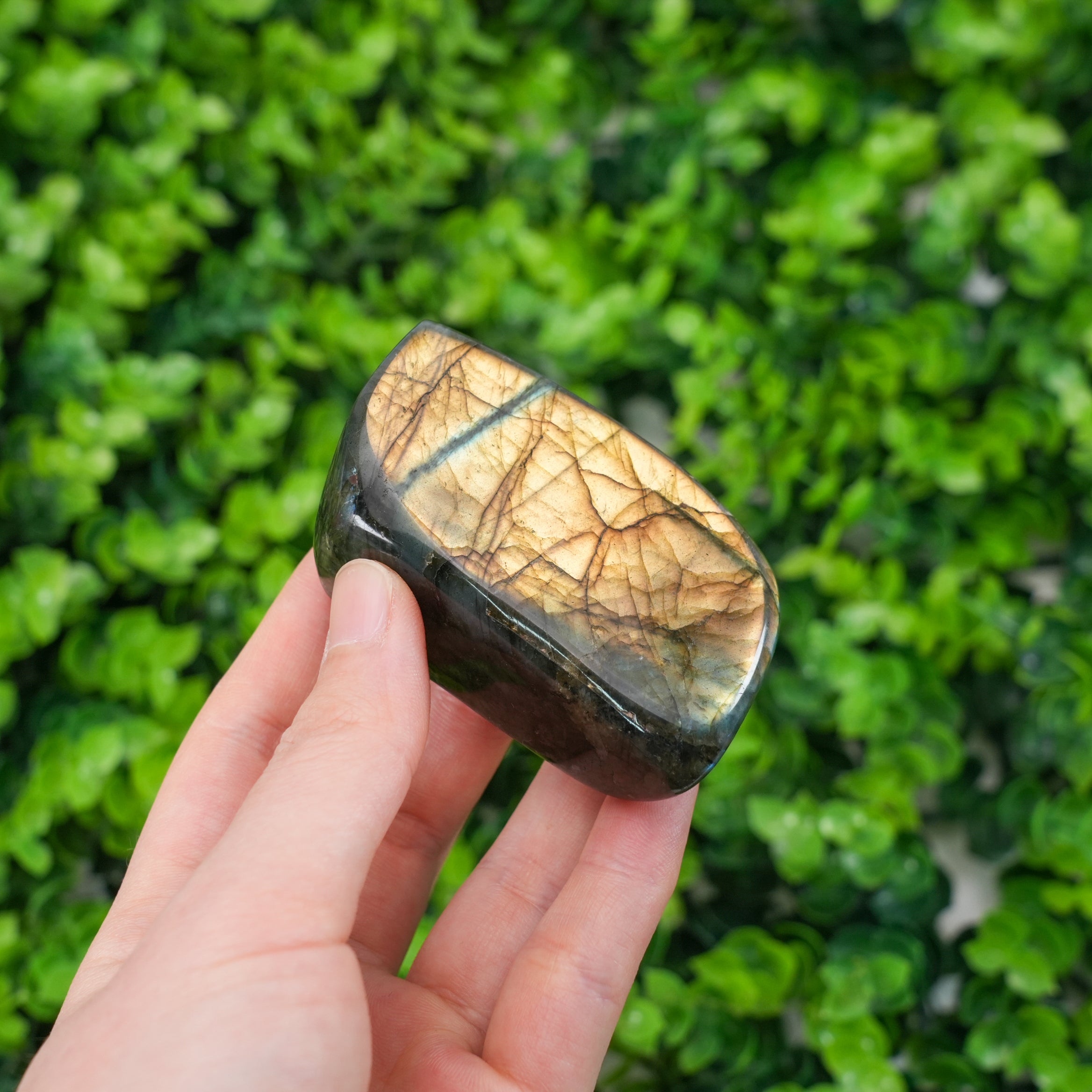 Natural Labradorite Freeform Large Polished Flashy Spectrolite Stone, High-Flash Healing Crystal for Intuition & Magic, Unique Gemstone Decor for Office, Meditation & Reik