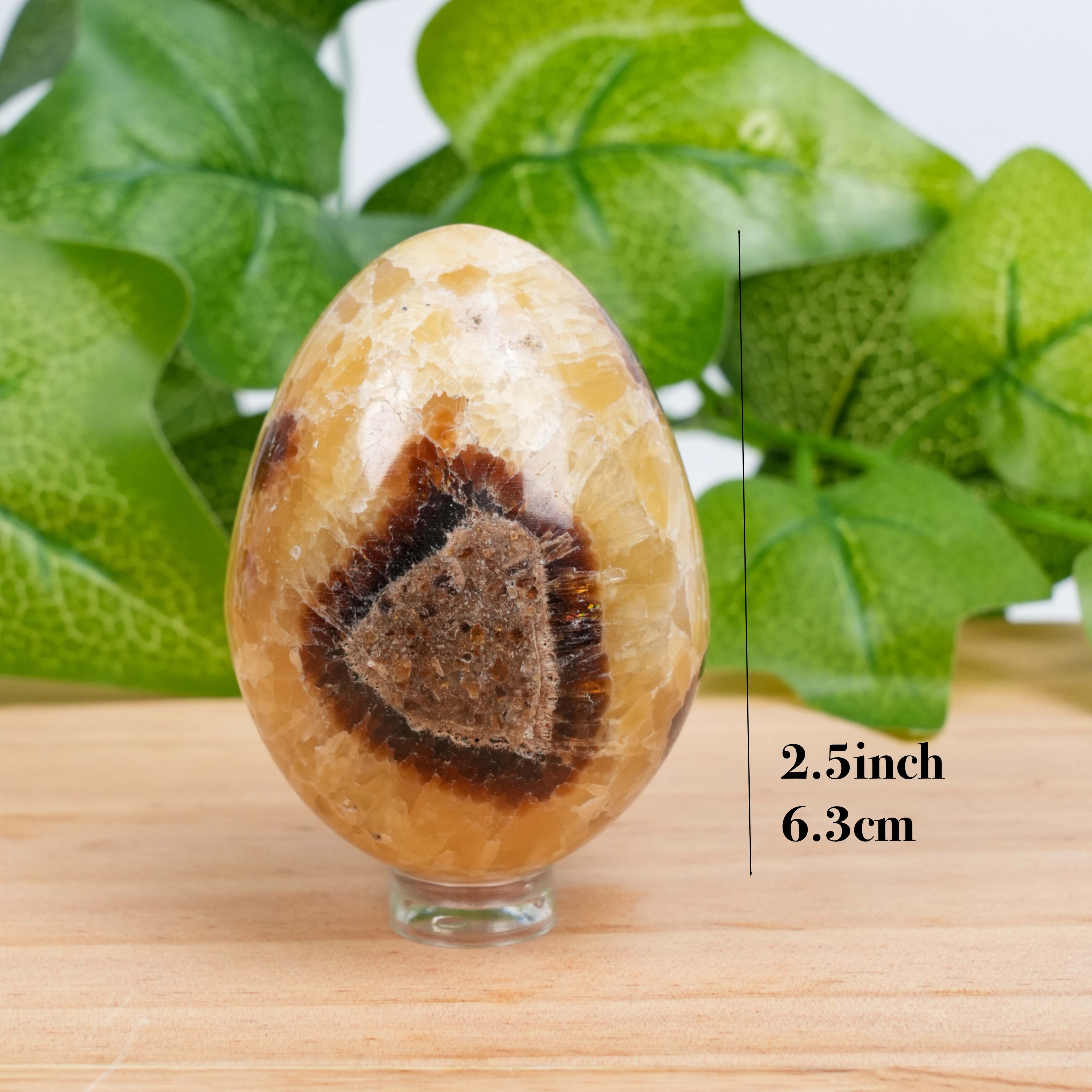 Septarian Dragon Egg Crystal | Natural Septarian Tumbled Stone for Grounding & Emotional Balance
