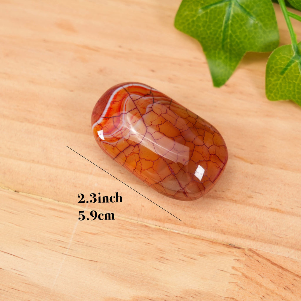 Colorful Dragon Vein Agate Tumbled Palm Stones, Polished Healing Gemstones for Pocket & Altar