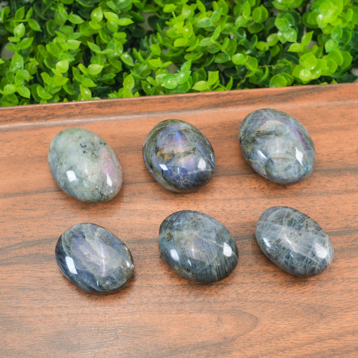 Labradorite Palm Stone | Natural Flashy Labradorite Crystal