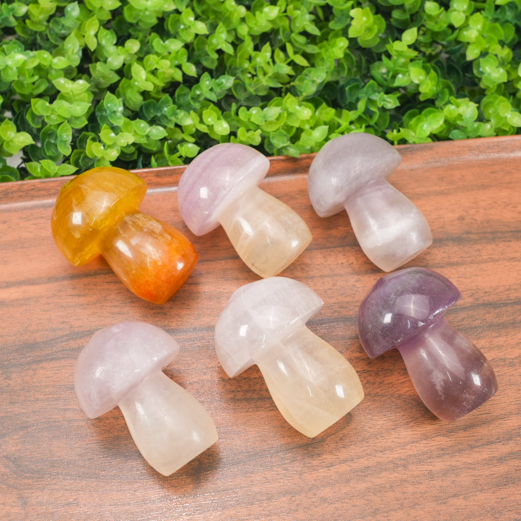 Natural Rainbow Fluorite Mushroom - Hand-Carved Colorful Crystal Mushroom Figurine