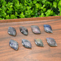Natural Labradorite Crystal Leaf Carving - Hand-Carved Gemstone Foliage with Blue & Purple Unique Spiritual Gift for Crystal Collectors Flash
