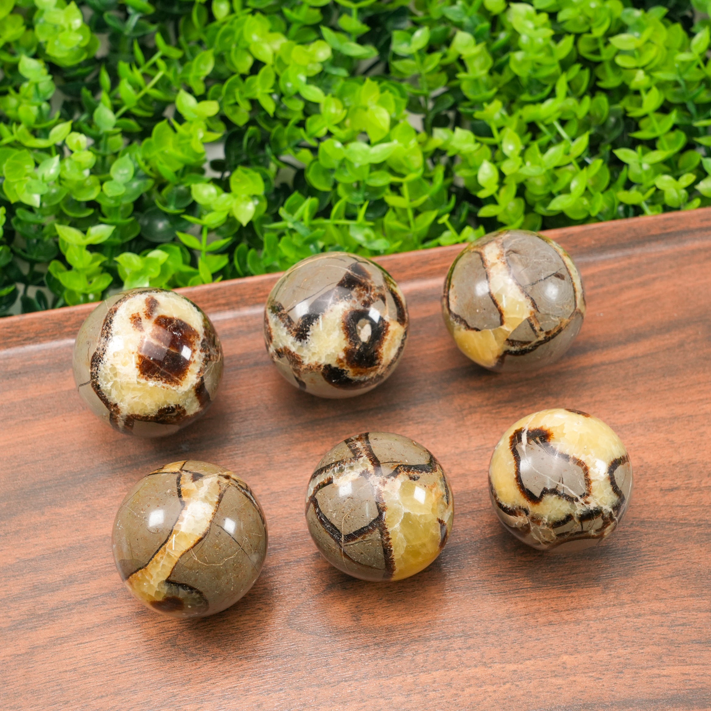 Natural Septarian Dragon Stone Sphere Polished Geode Ball, Hand-Carved Septarian Nodule Crystal for Grounding, Protection, and Spiritual Decor, Unique Gemstone Sphere with Stand
