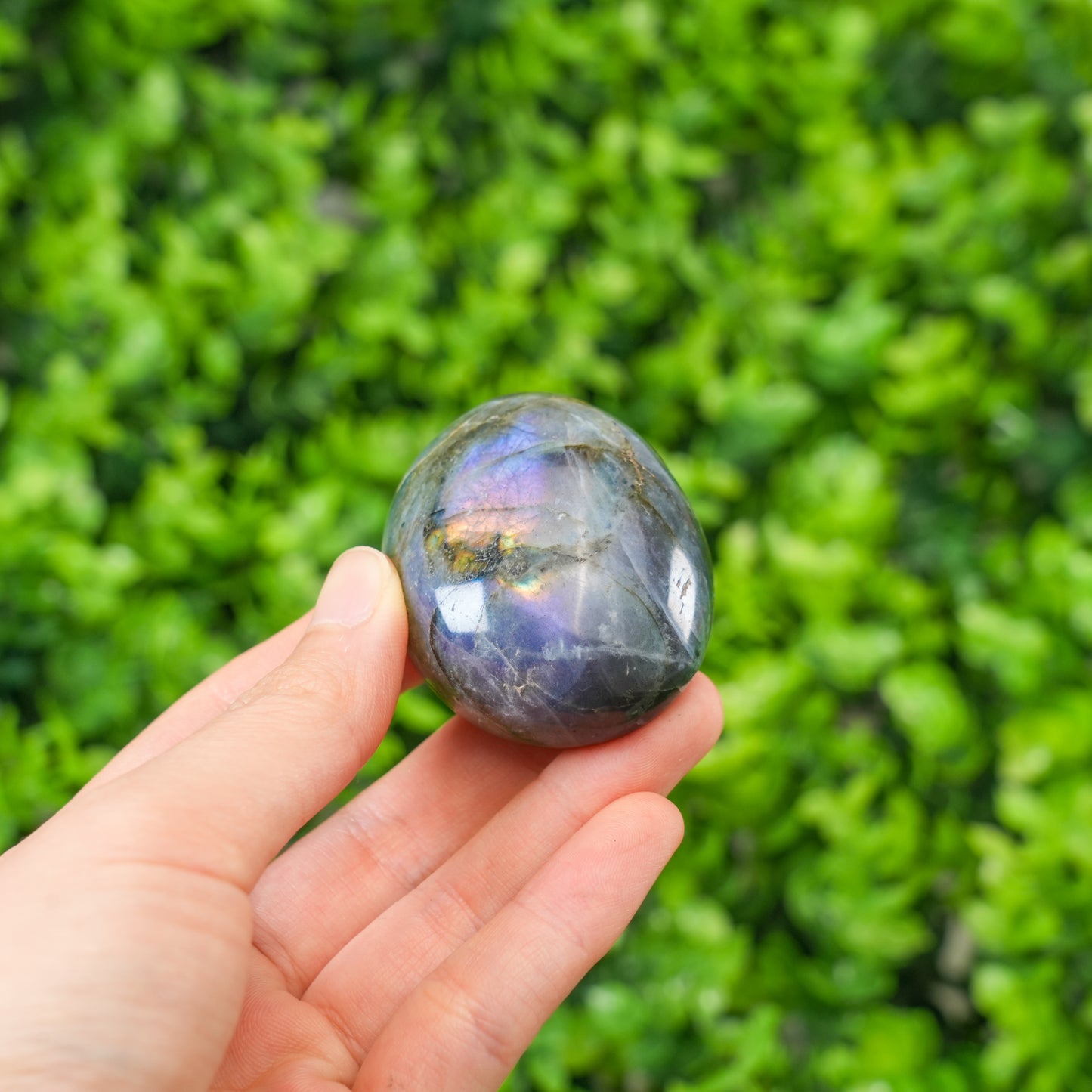 Labradorite Palm Stone | Natural Flashy Labradorite Crystal